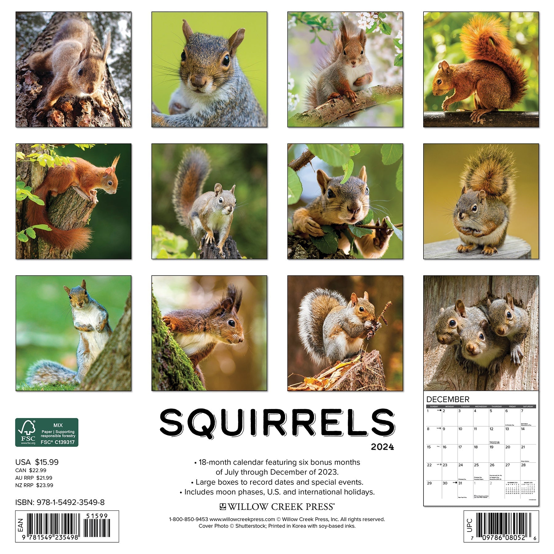 2024 Squirrels - Square Wall Calendar US