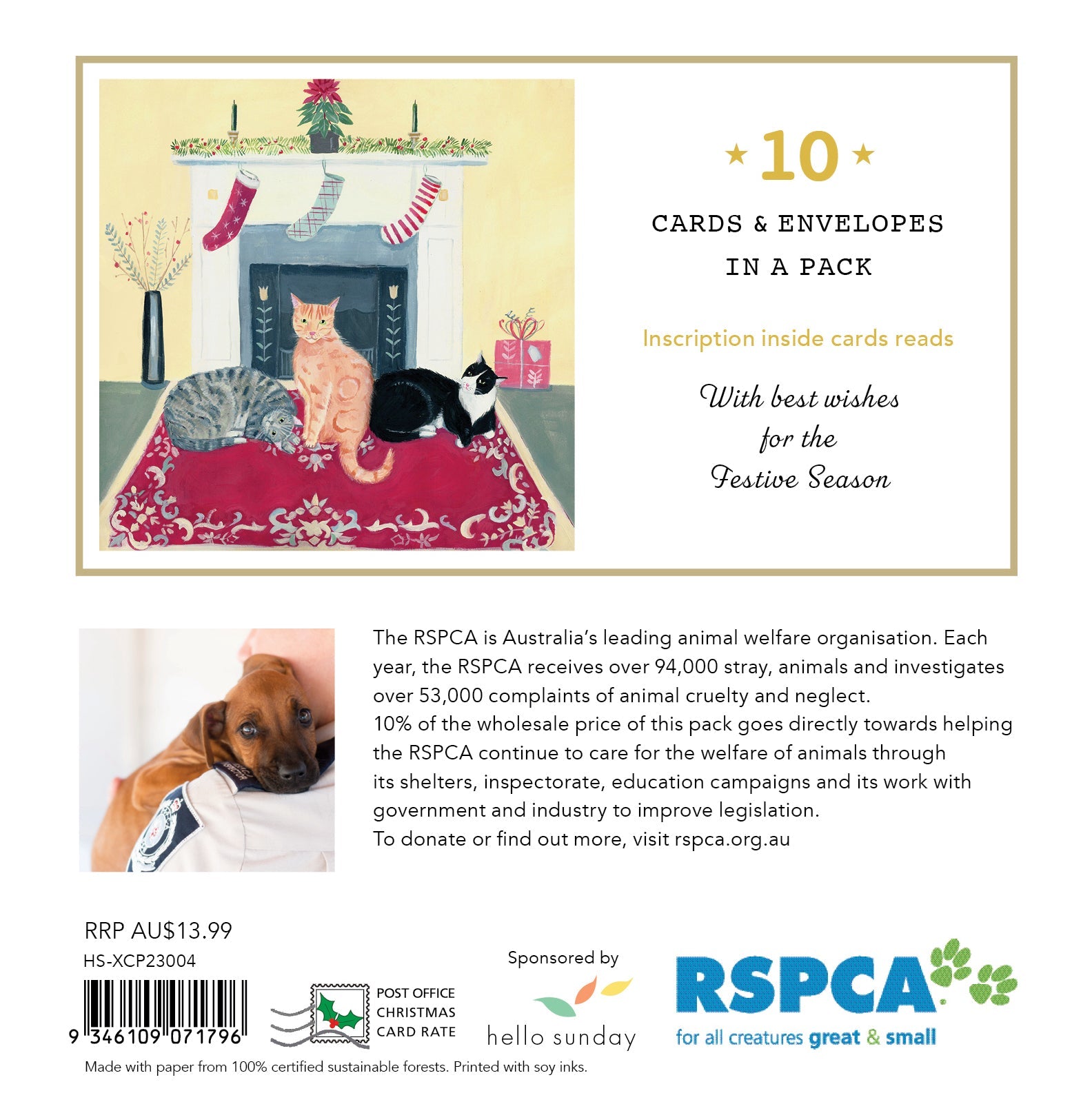 RSPCA Cats Stocking - 10 Charity Christmas Cards Pack