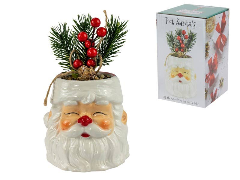 Santa Pot with Xmas Berry Plant, 11cm (Gift Box) - Christmas Decoration