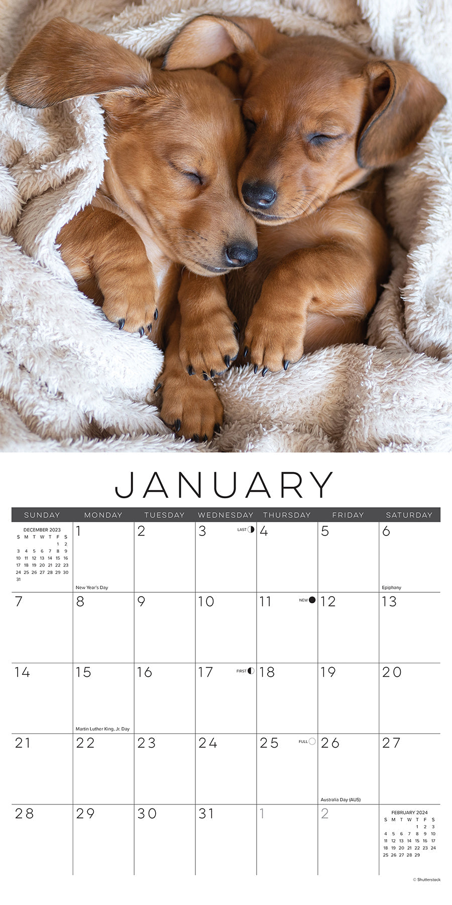 2024 Naptime (Dogs & Puppies) - Square Wall Calendar US