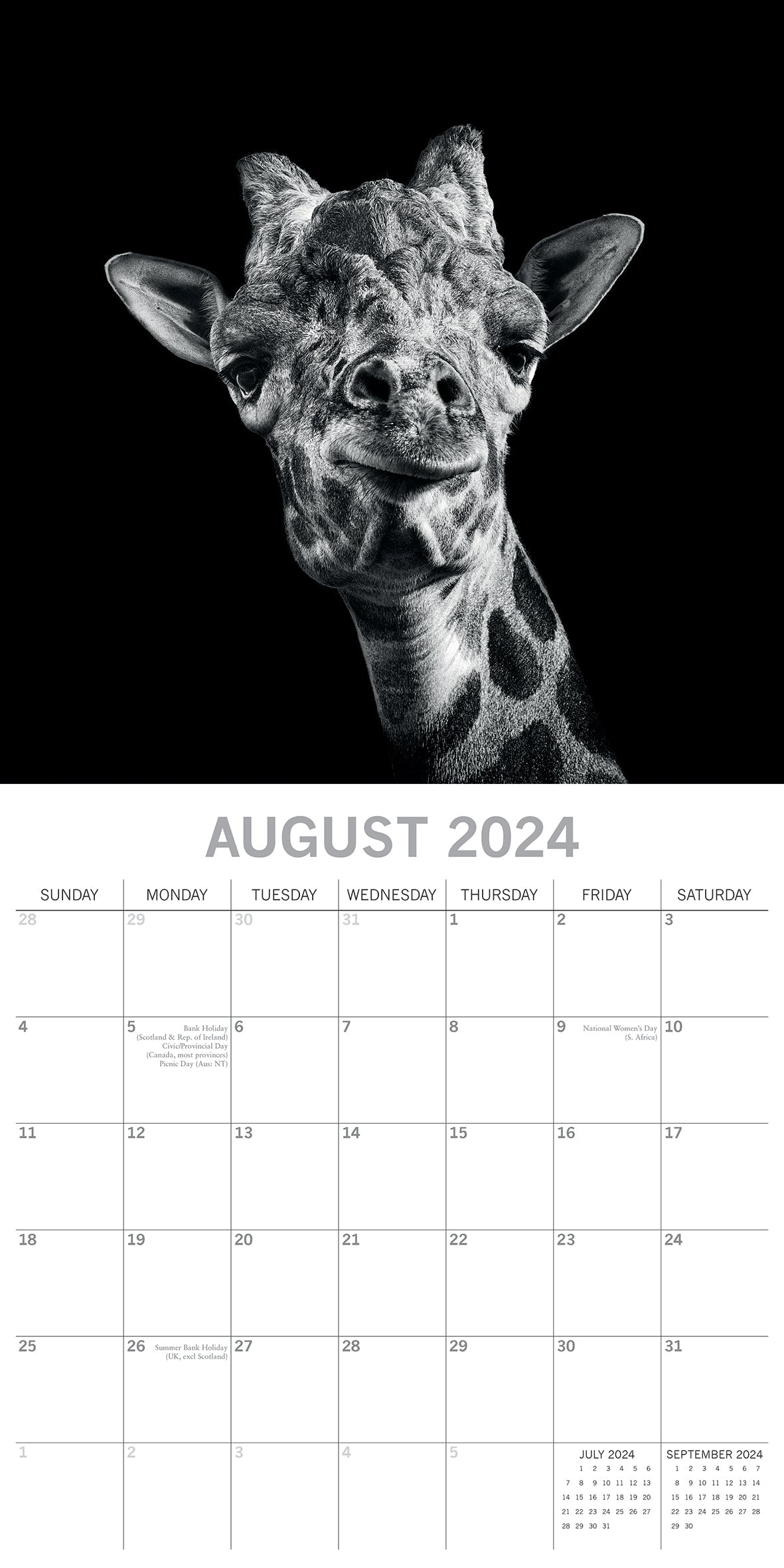 2024 Wild Portraits - Square Wall Calendar
