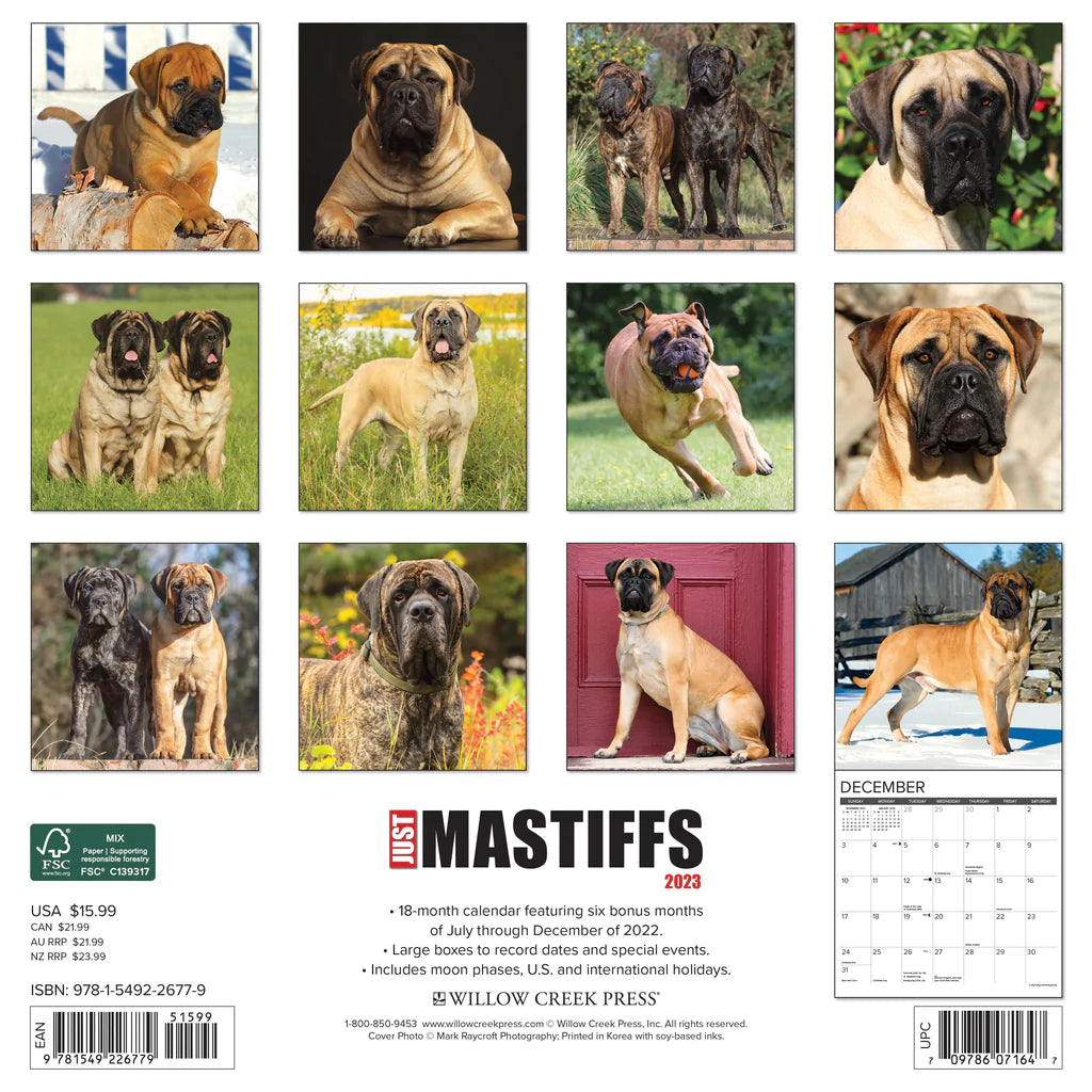 2023 Just Mastiffs - Square Wall Calendar