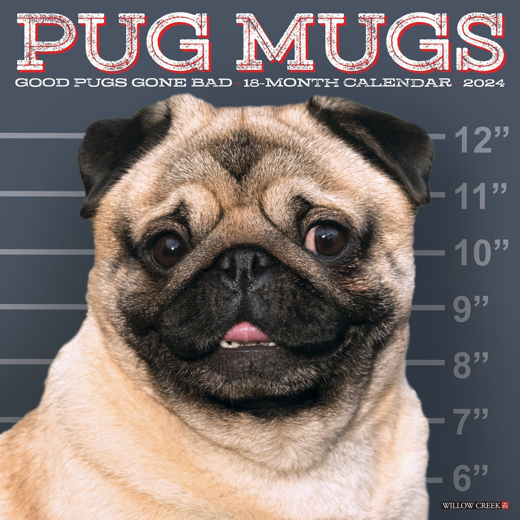 2024 Pug Mugs - Square Wall Calendar US