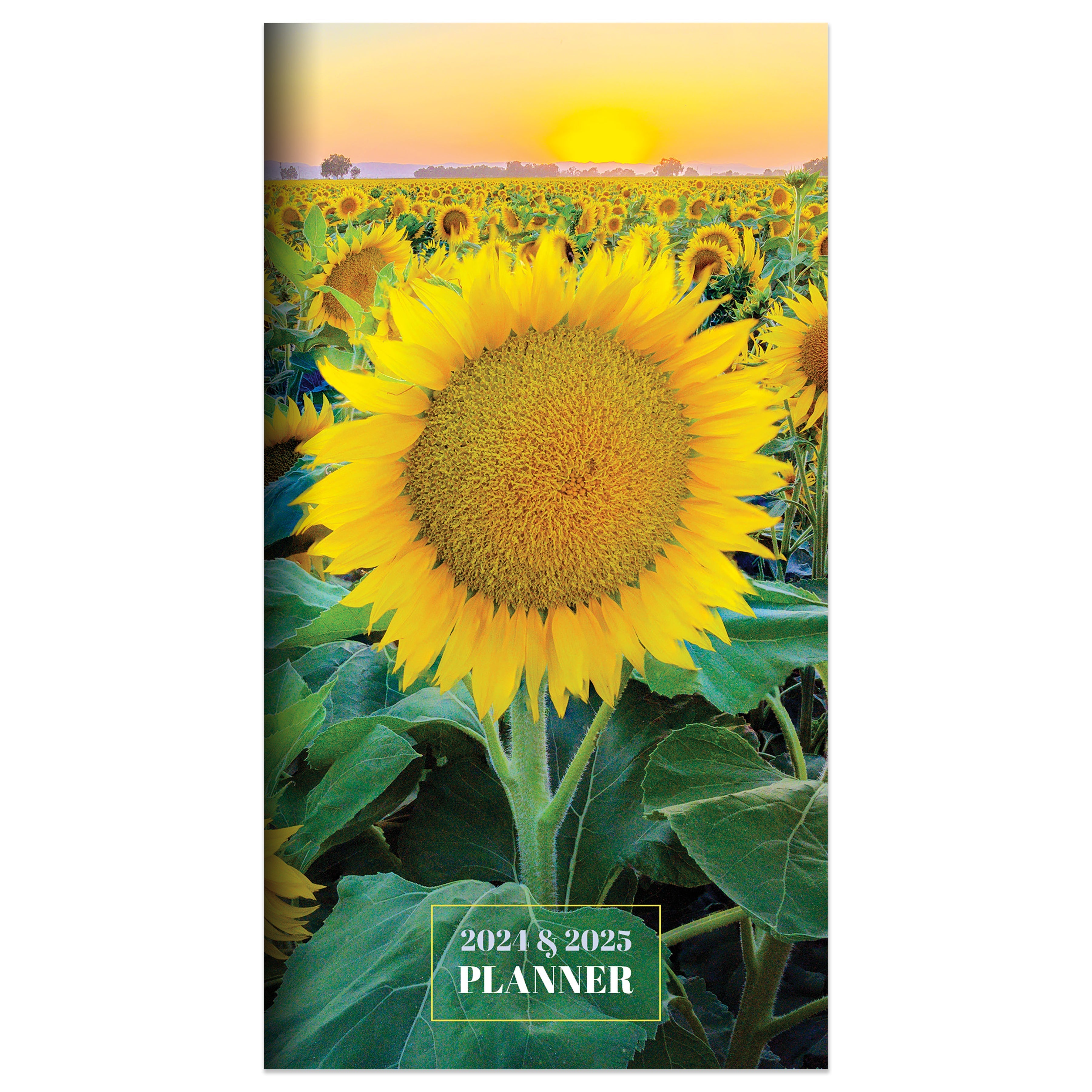 2024-2025 Sunflower - Small Monthly Pocket Diary/Planner US