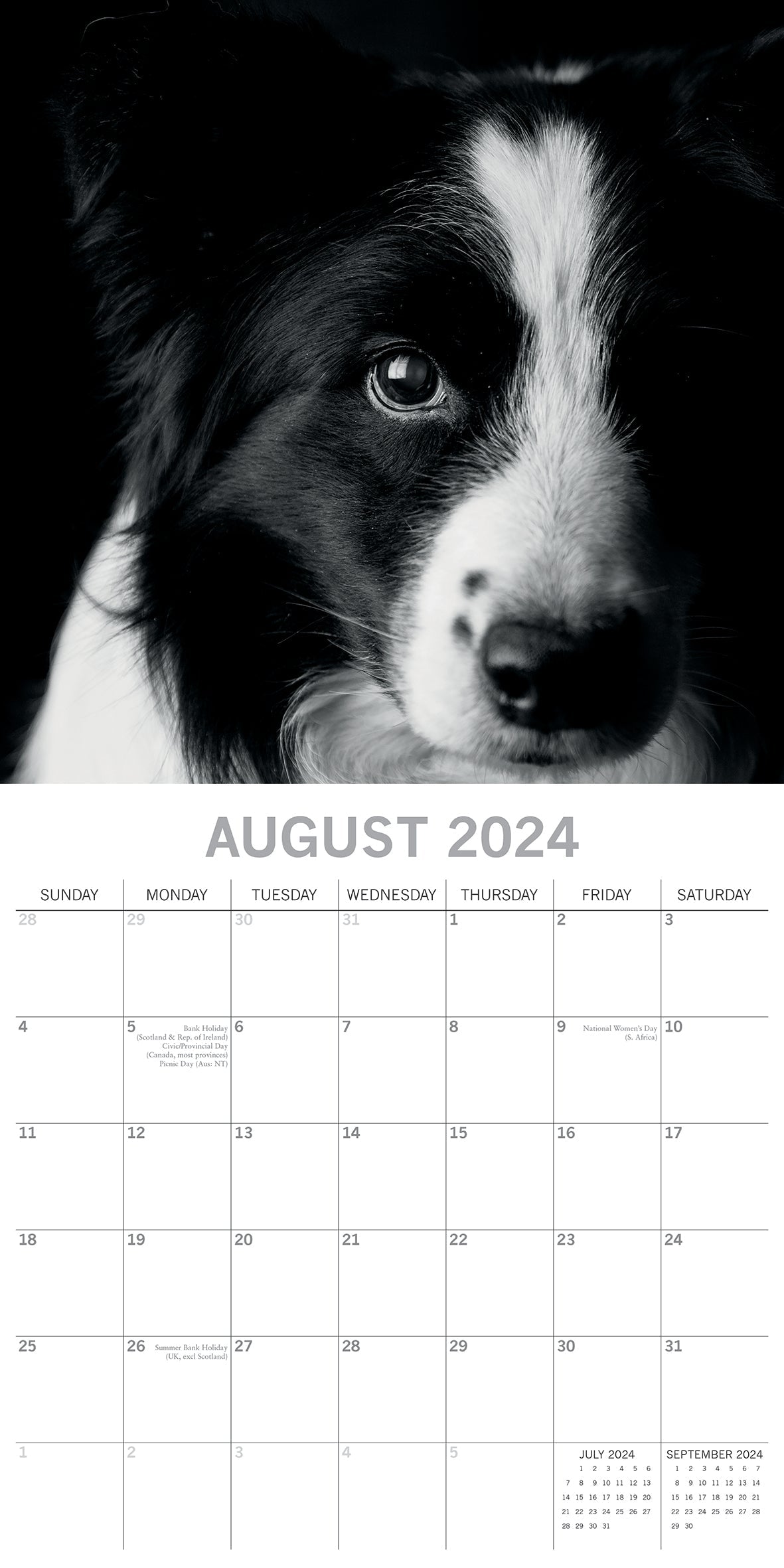 2024 Dog Portraits - Square Wall Calendar