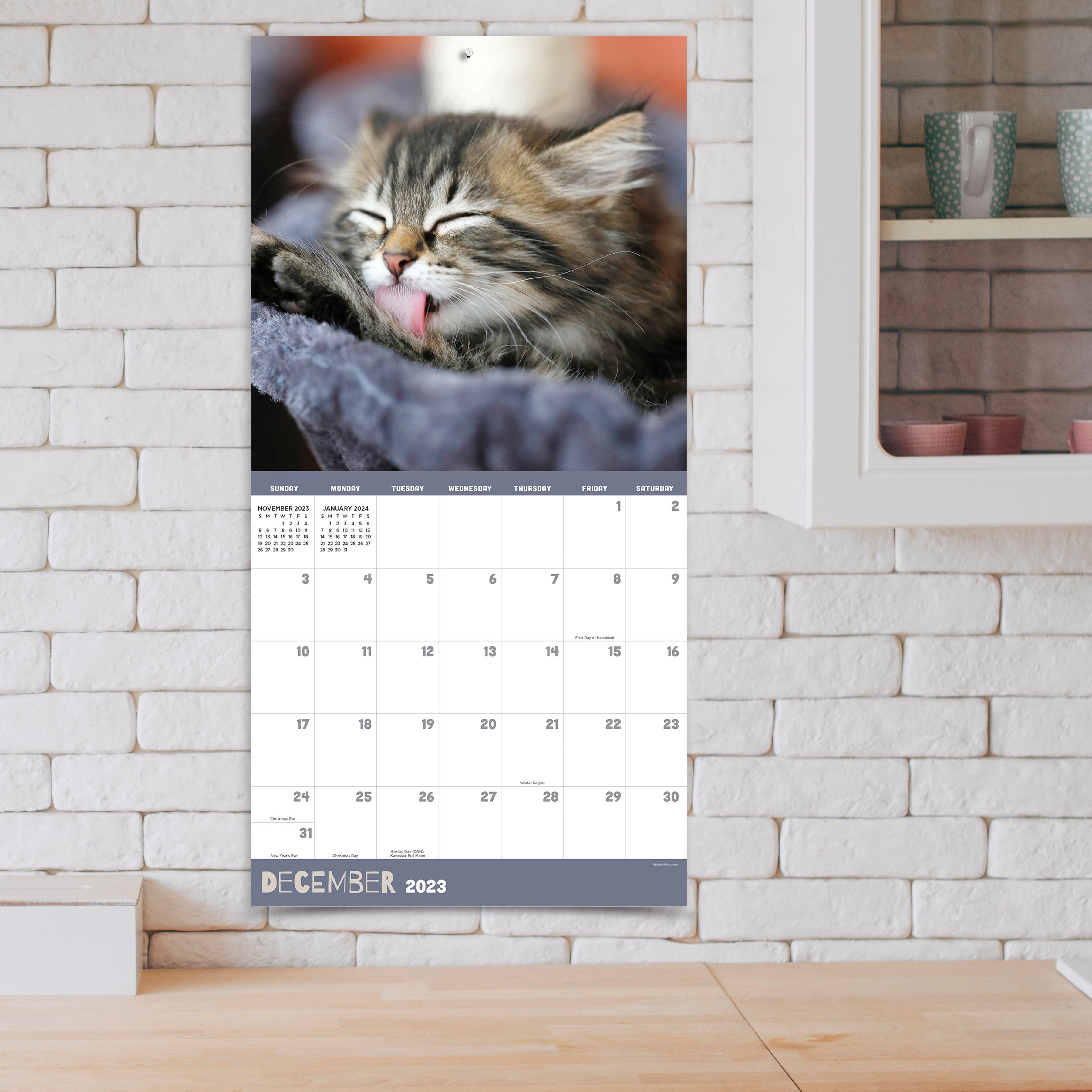 2023 Kittens - Square Wall Calendar