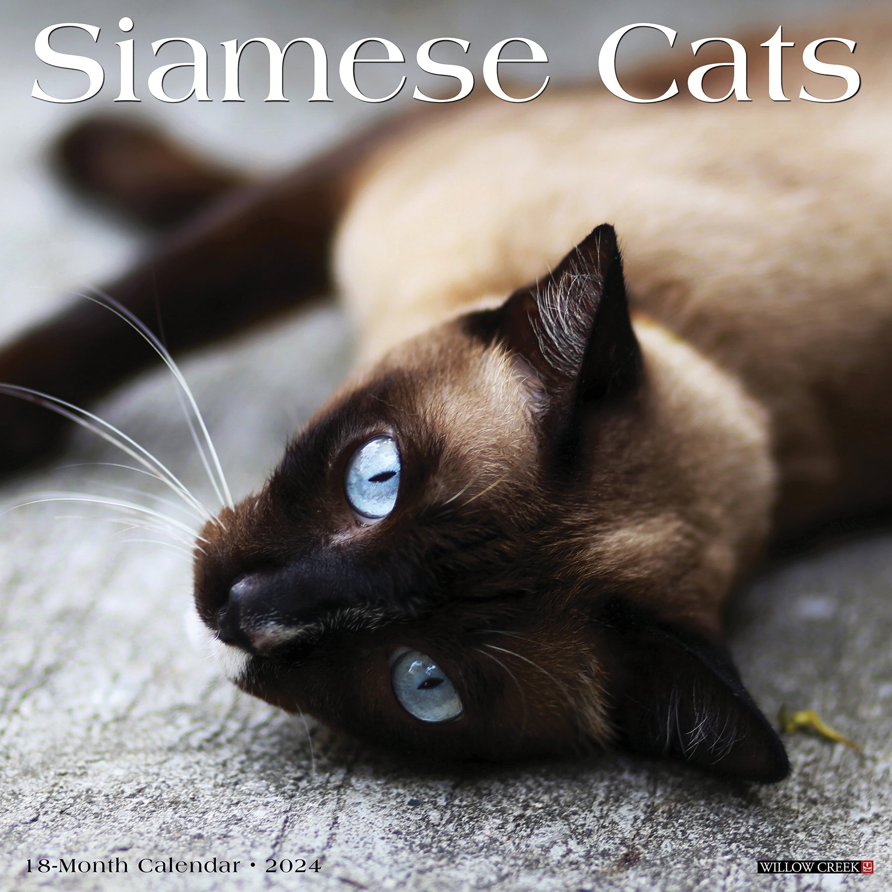 2024 Siamese Cats - Square Wall Calendar US