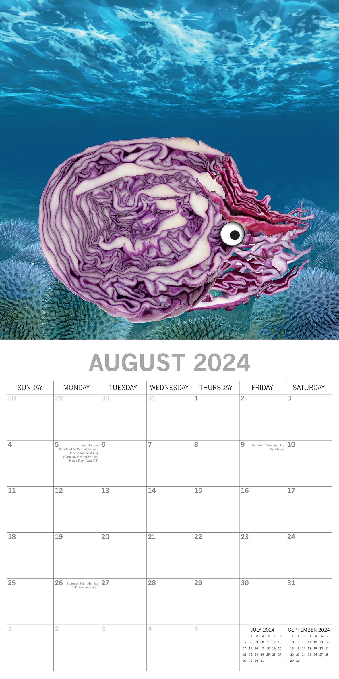 2024 Sea Food - Square Wall Calendar