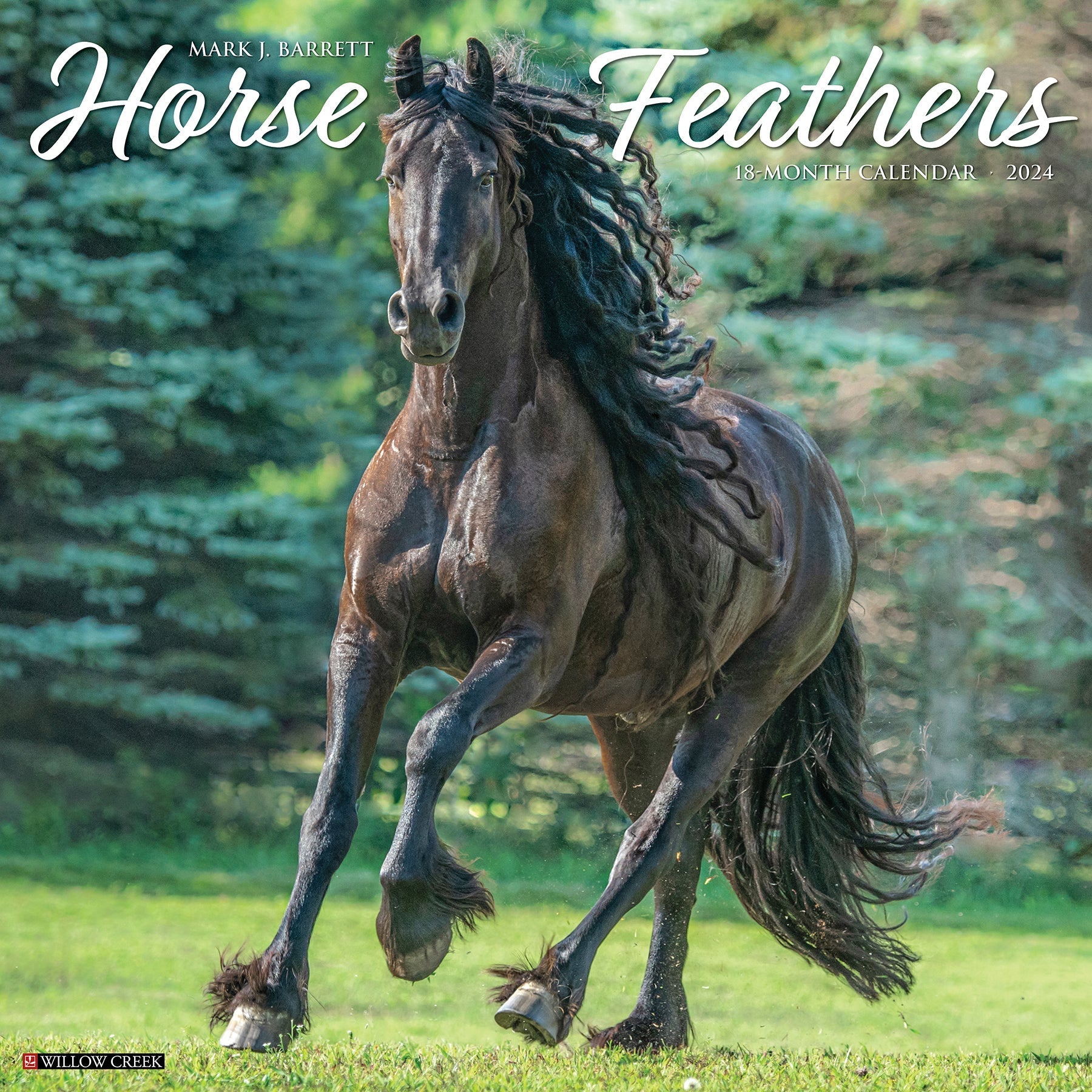 2024 Horse Feathers - Square Wall Calendar US