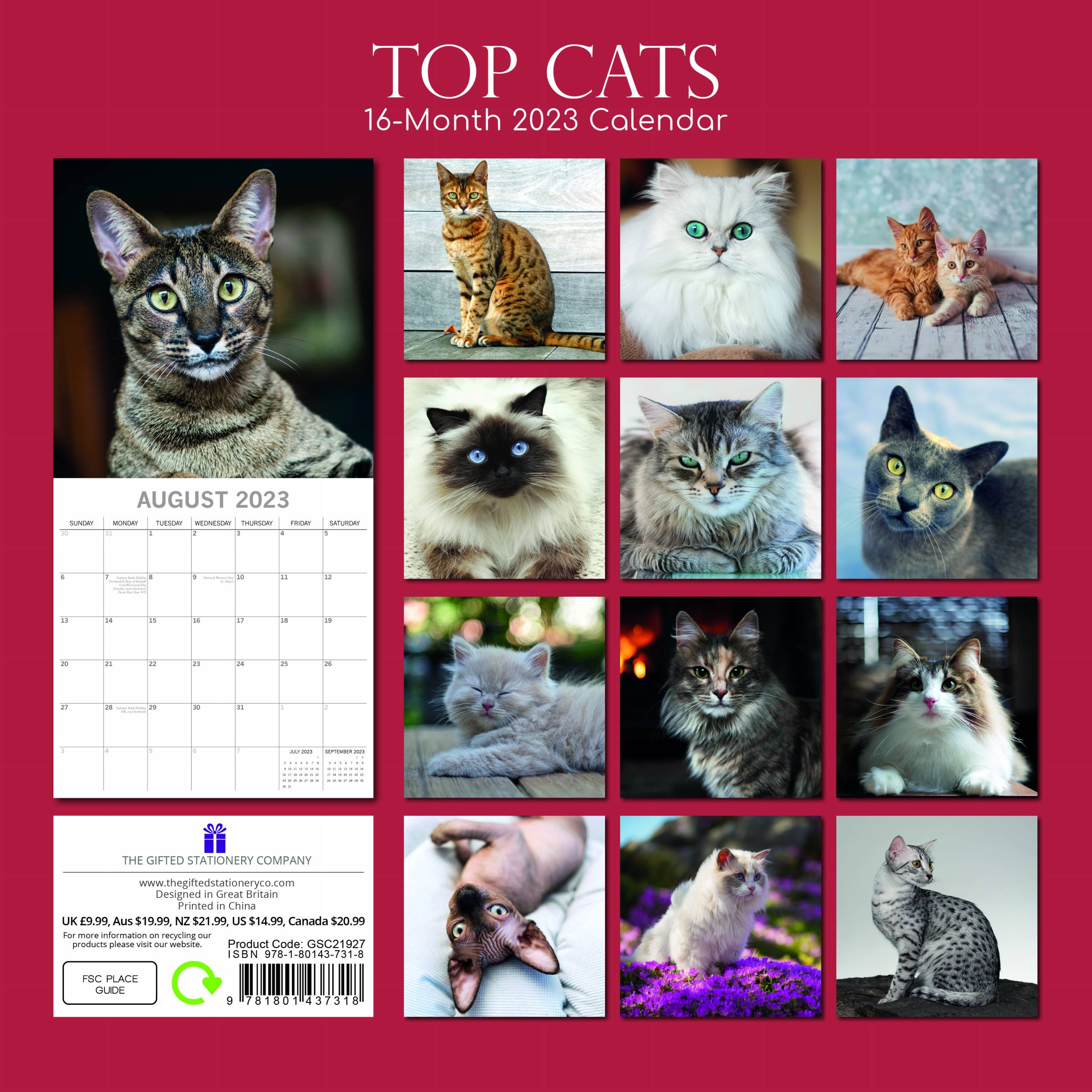 2023 Top Cats - Square Wall Calendar