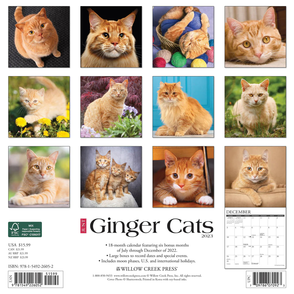 2023 Just Ginger Cats - Square Wall Calendar