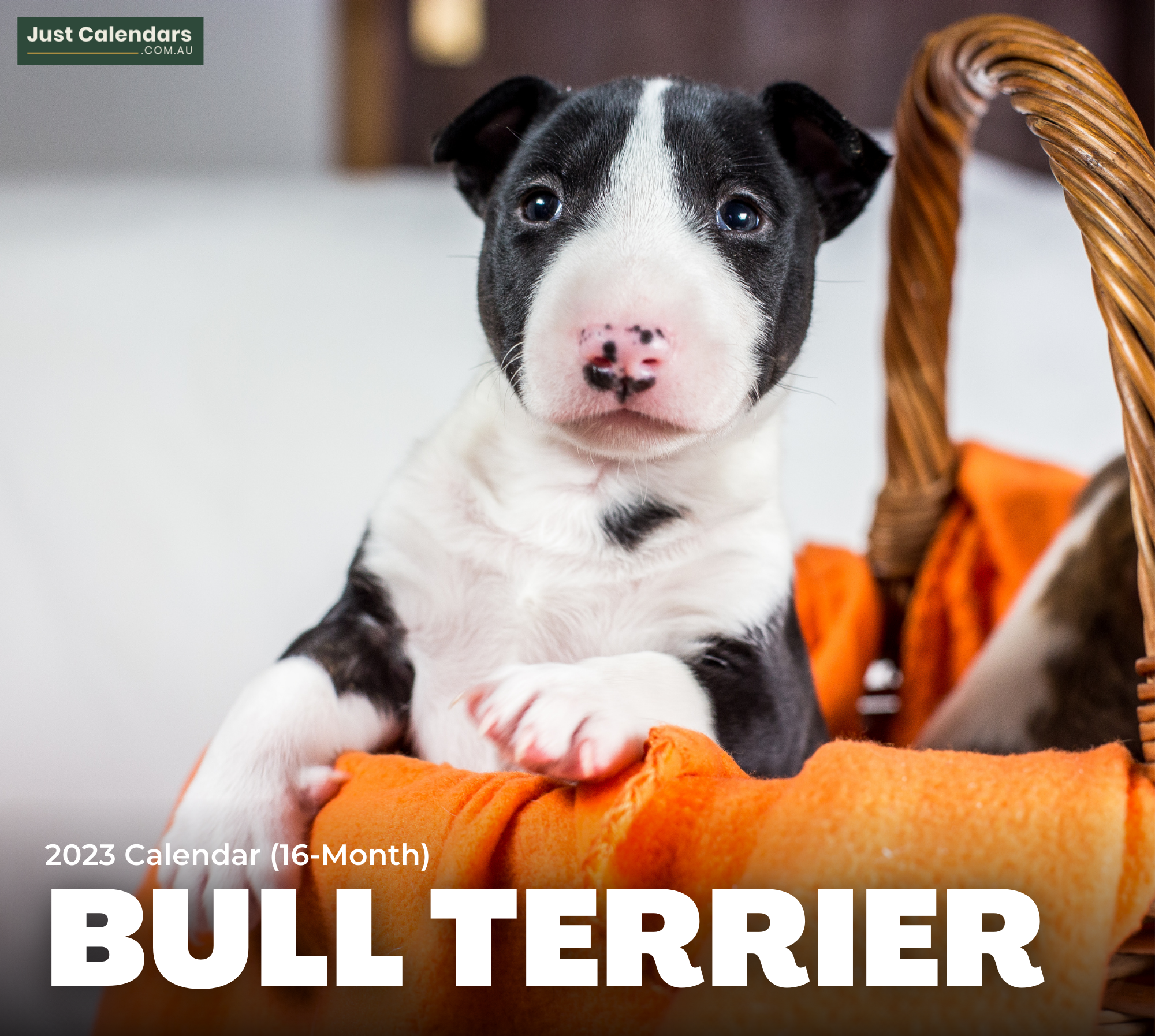 2023 Bull Terrier - Deluxe Wall Calendar By Just Calendars