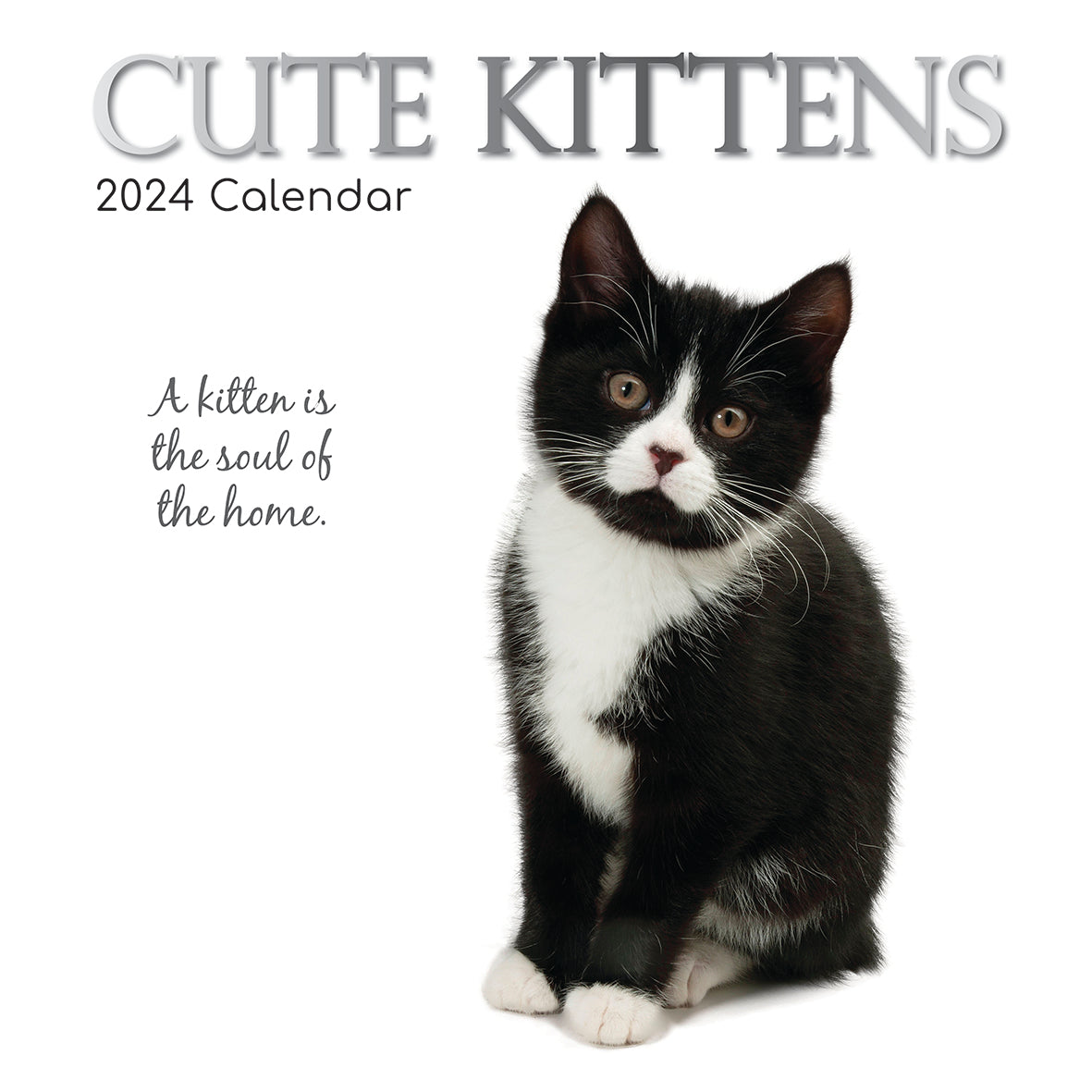 2024 Cute Kittens - Square Wall Calendar