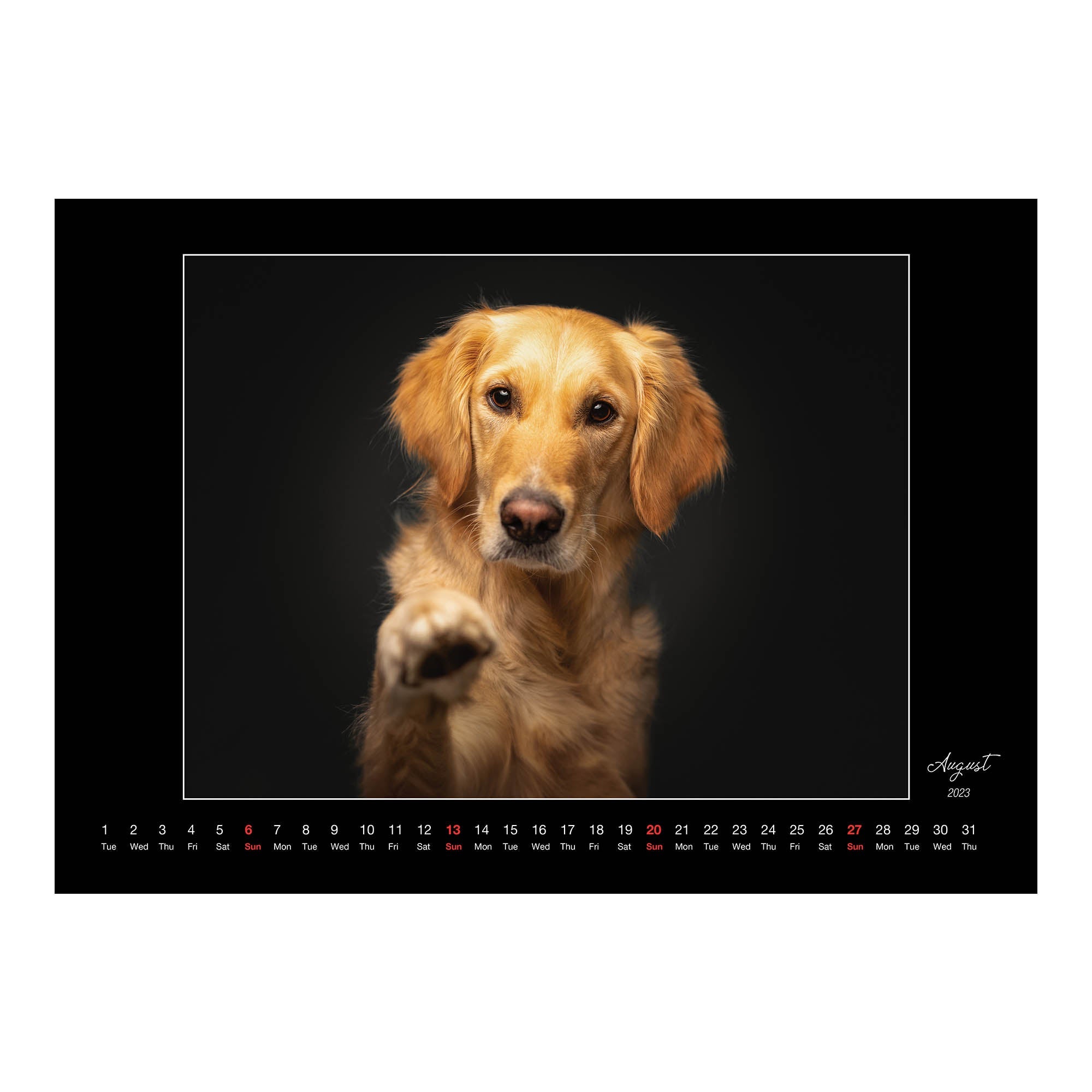 2023 Golden Retriever (By Vieler Photography) - Deluxe Wall Calendar