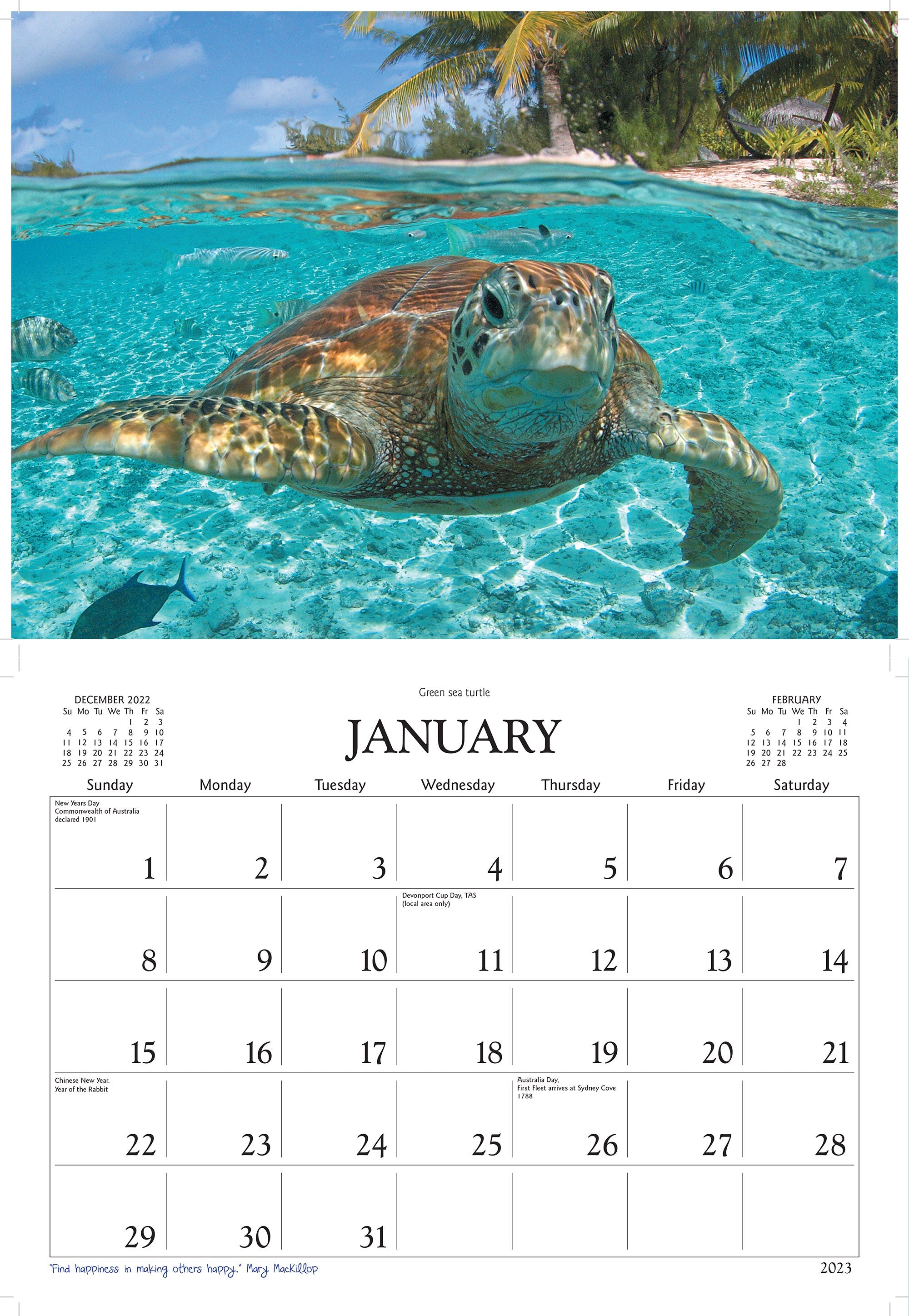 2023 Great Barrier Reef by David Messent - Horizontal Wall Calendar
