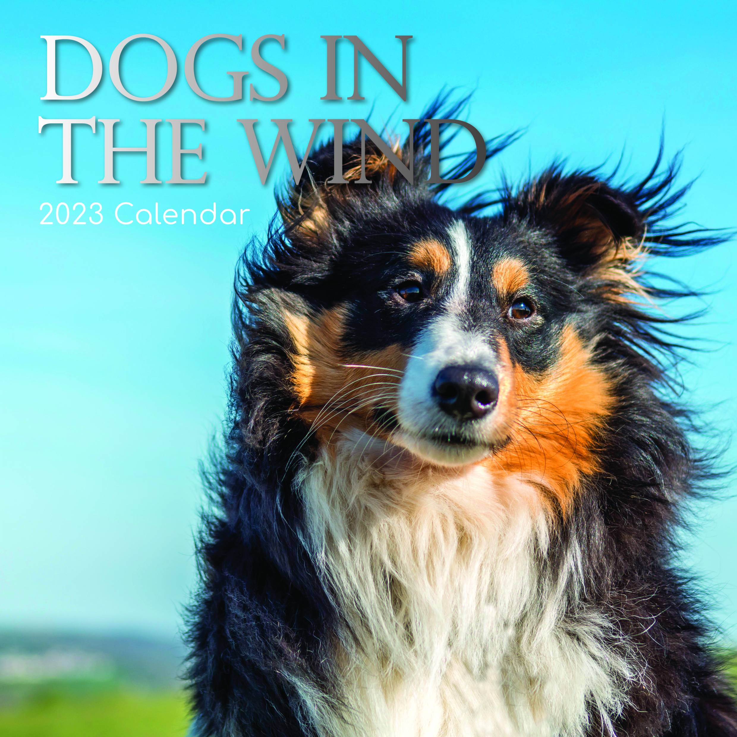 2023 Dogs in the Wind - Square Wall Calendar