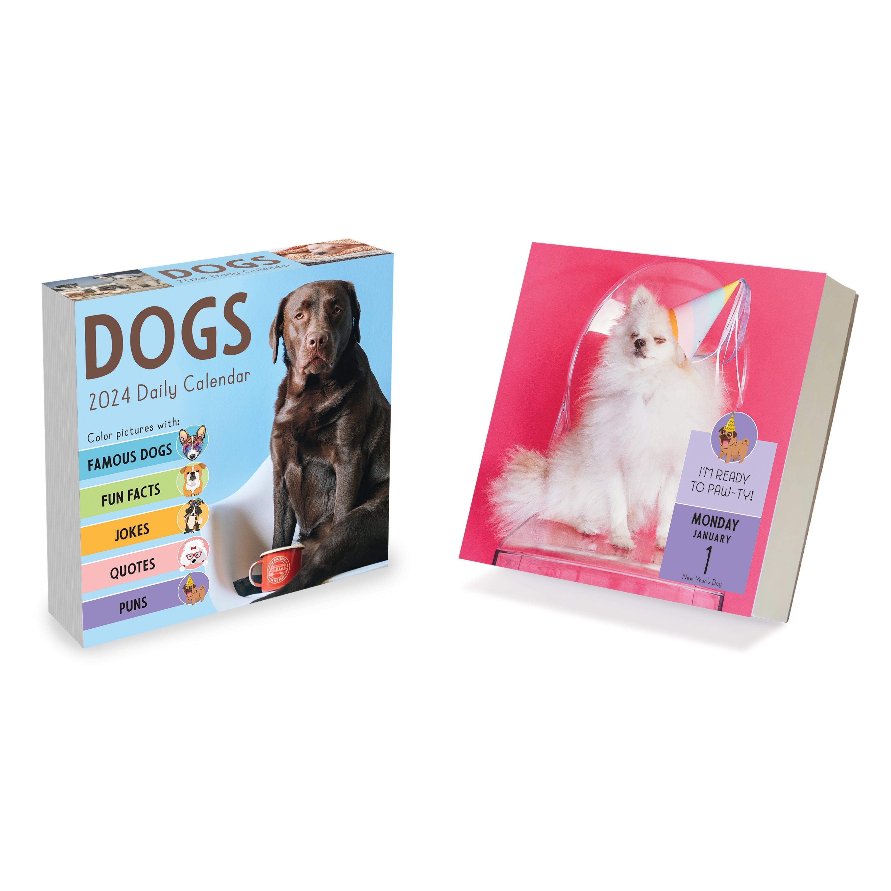 2024 Dog A Day - Daily Boxed Page-A-Day Calendar US