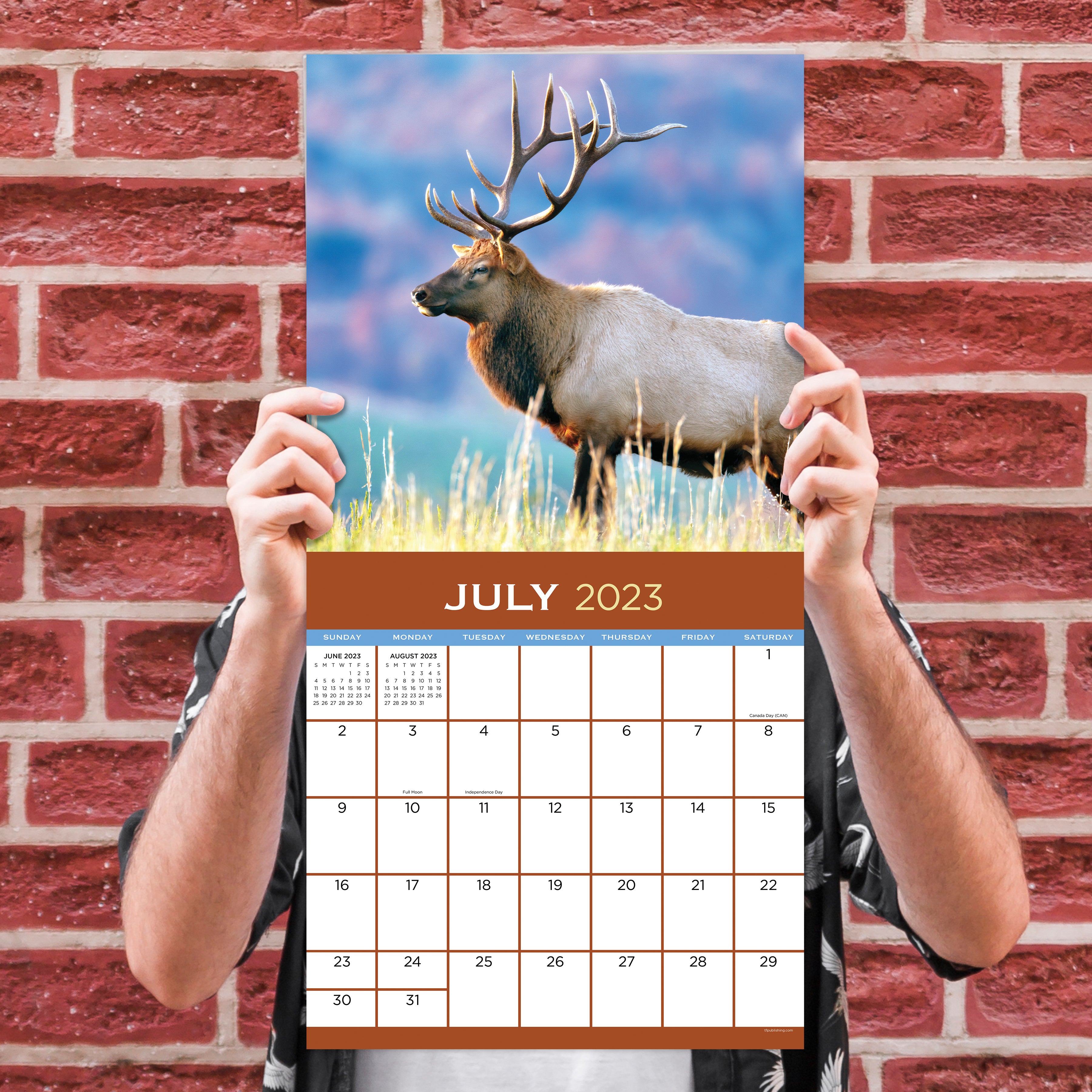 2023 Deer - Square Wall Calendar