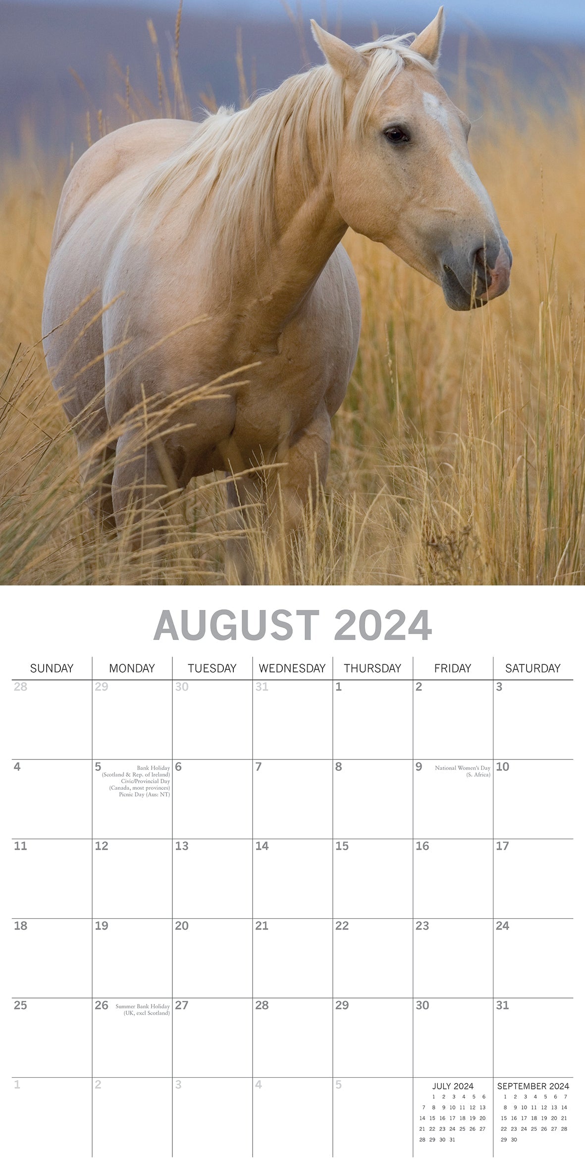 2024 Horses - Square Wall Calendar