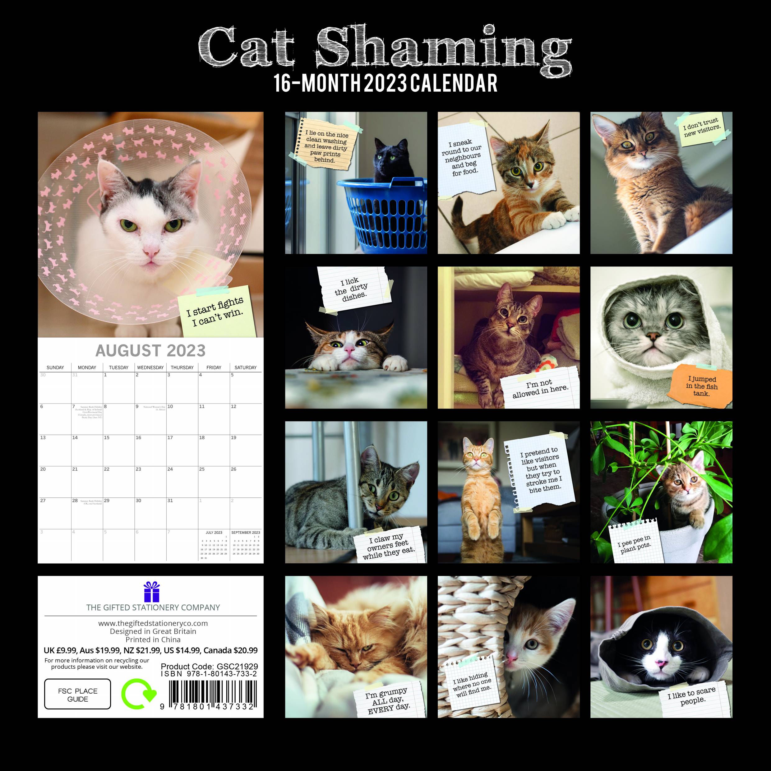 2023 Cat Shaming - Square Wall Calendar