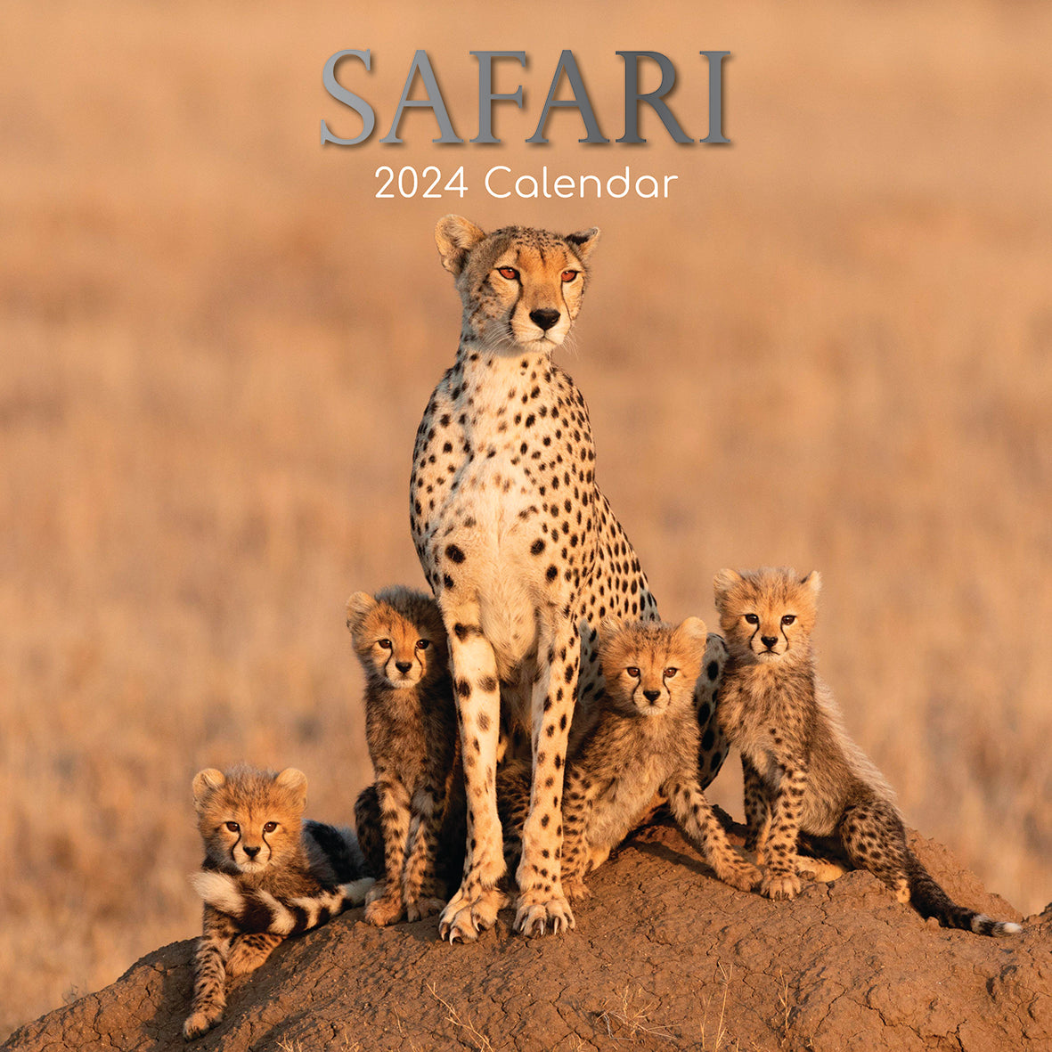 2024 Safari - Square Wall Calendar