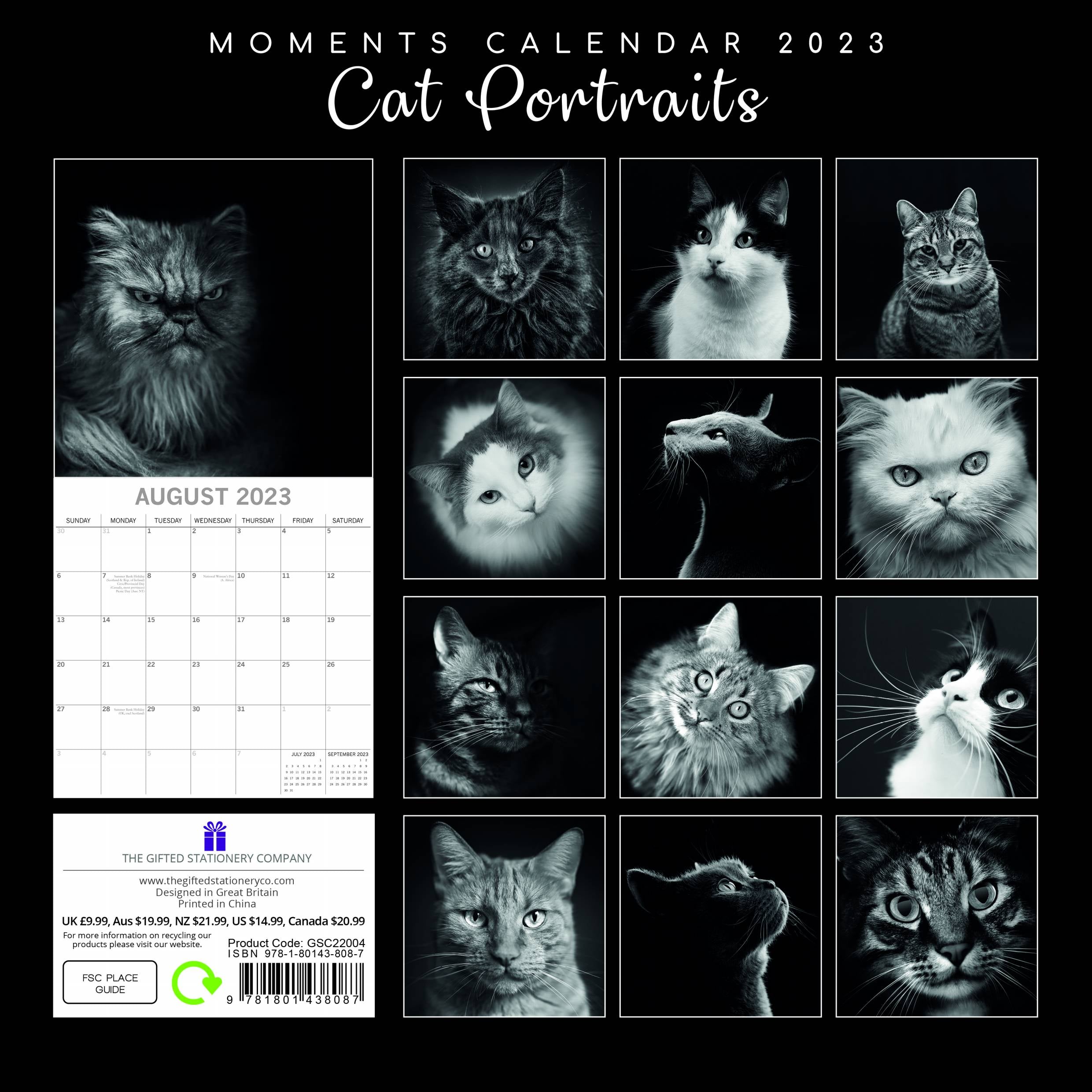 2023 Cat Portraits - Square Wall Calendar
