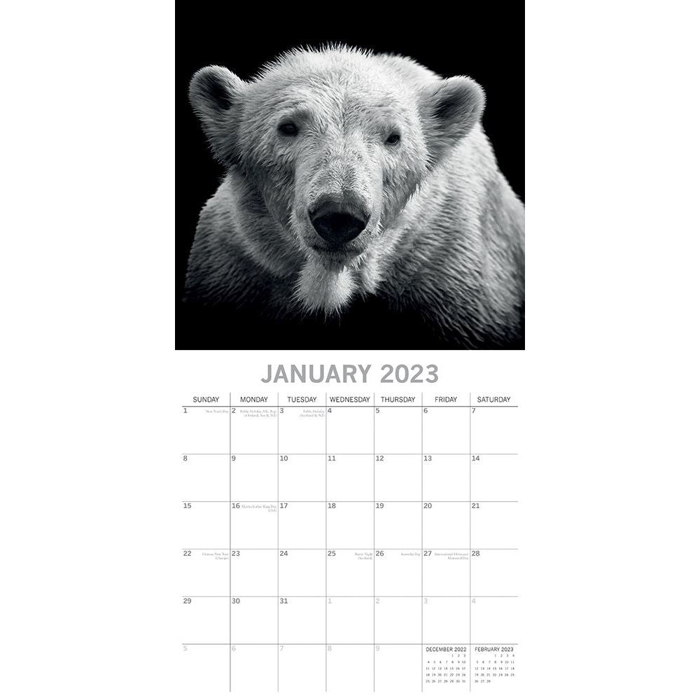 2023 Wild Portraits - Square Wall Calendar