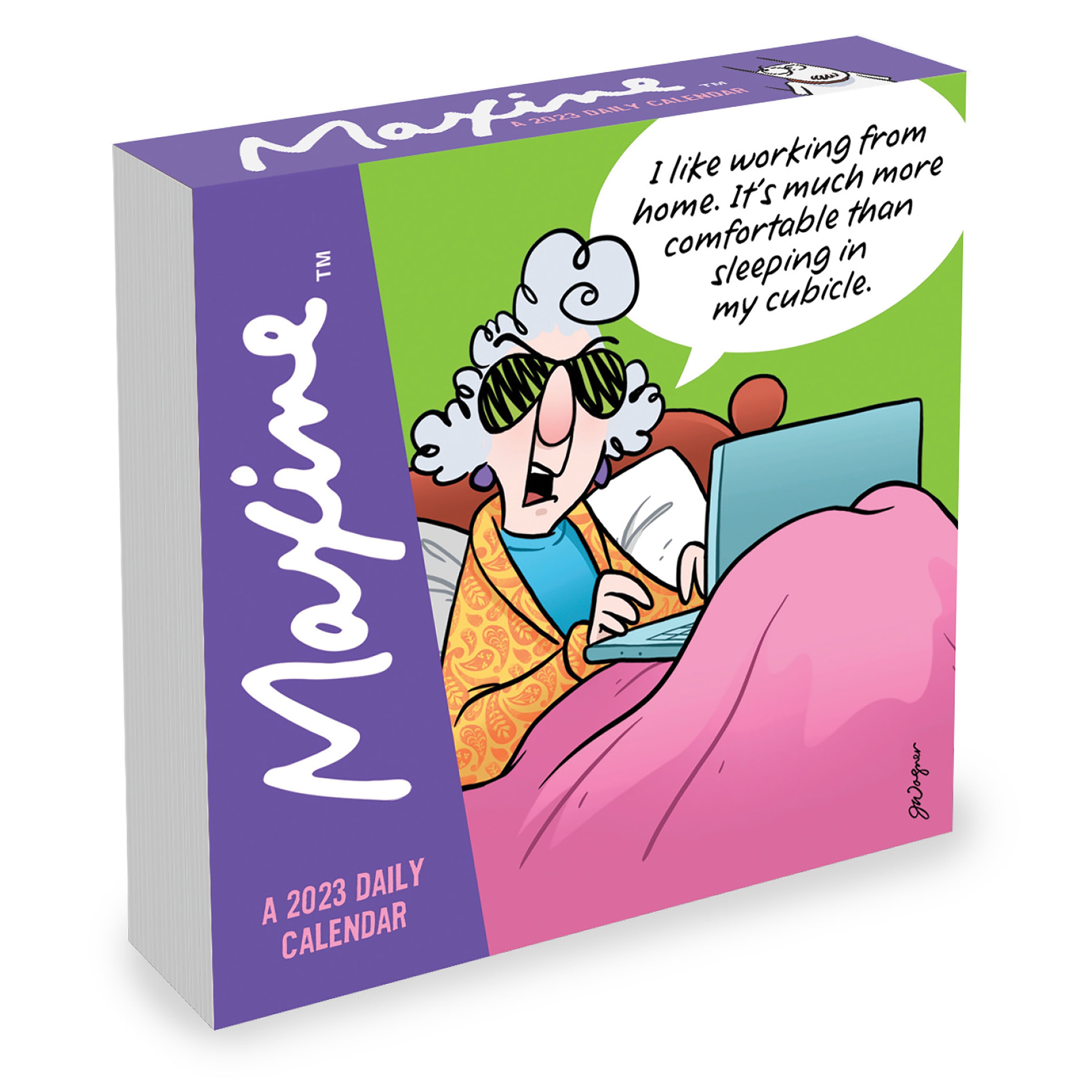 2023 Maxine - Daily Boxed Page-A-Day  Calendar