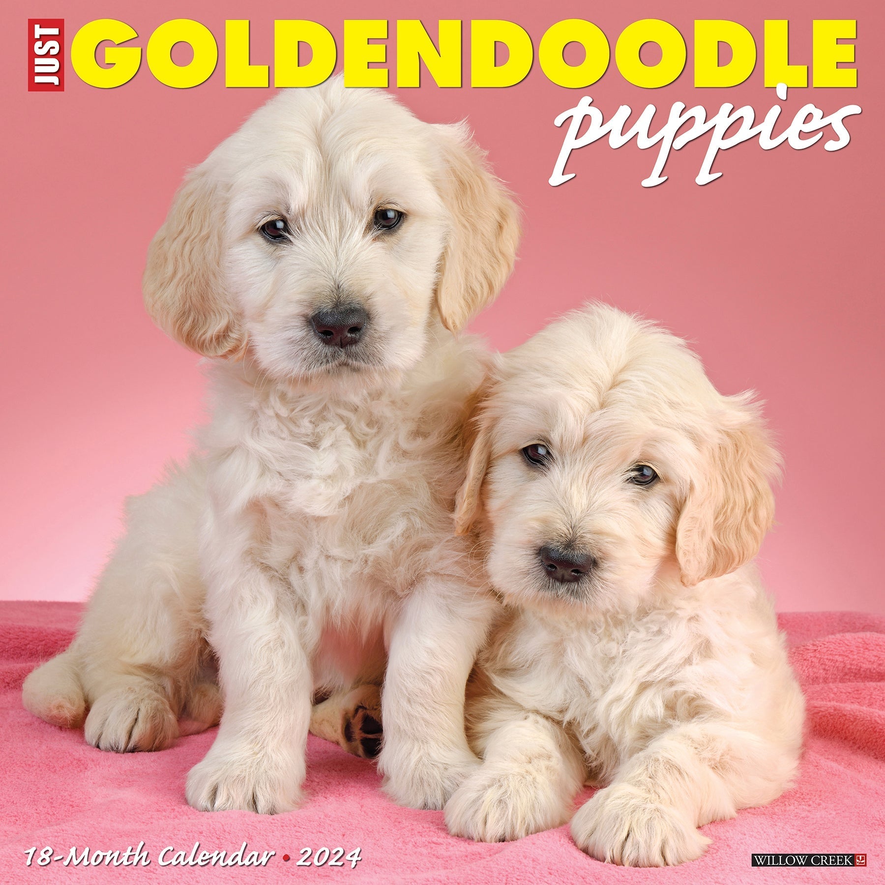 2024 Just Goldendoodle Puppies - Square Wall Calendar US