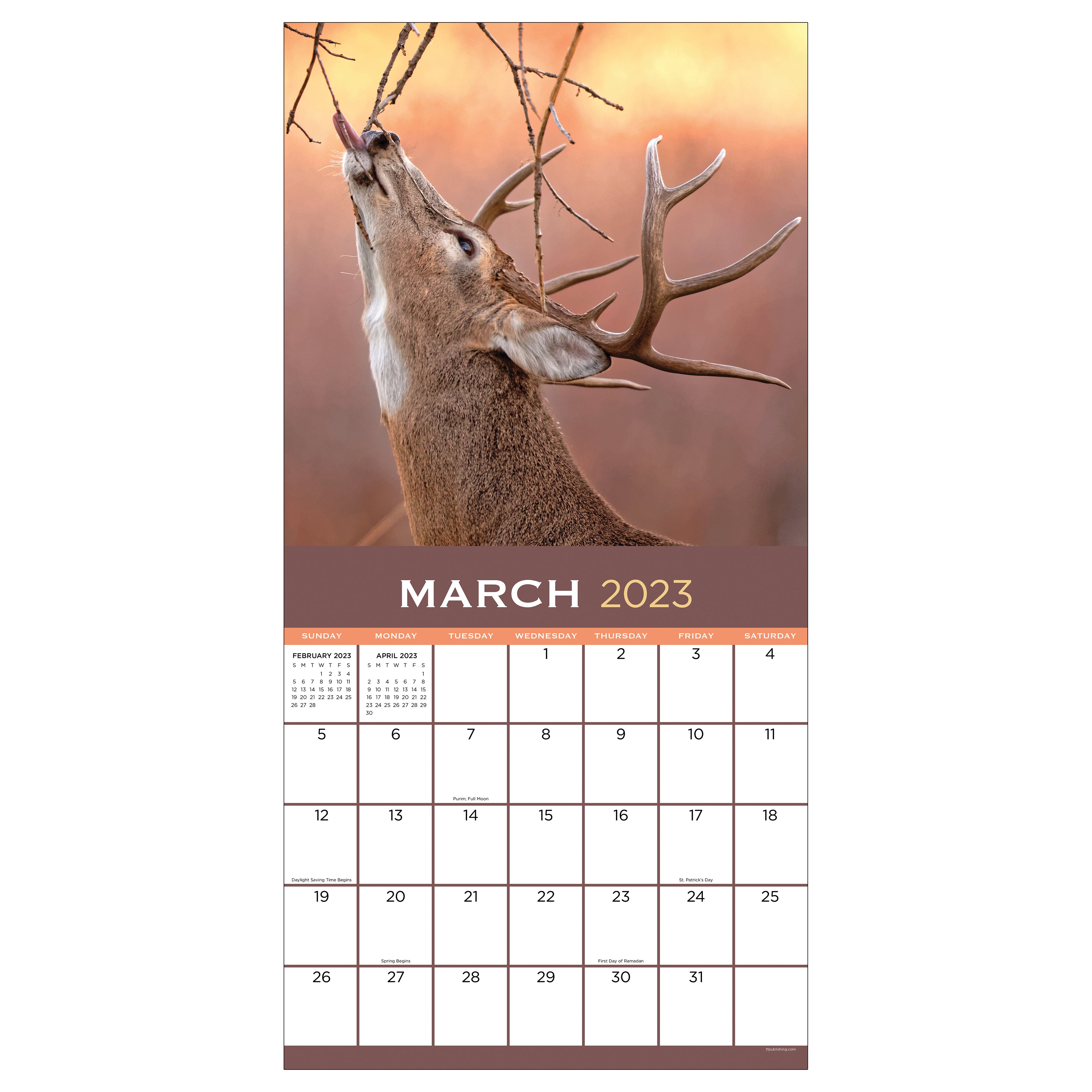 2023 Deer - Square Wall Calendar