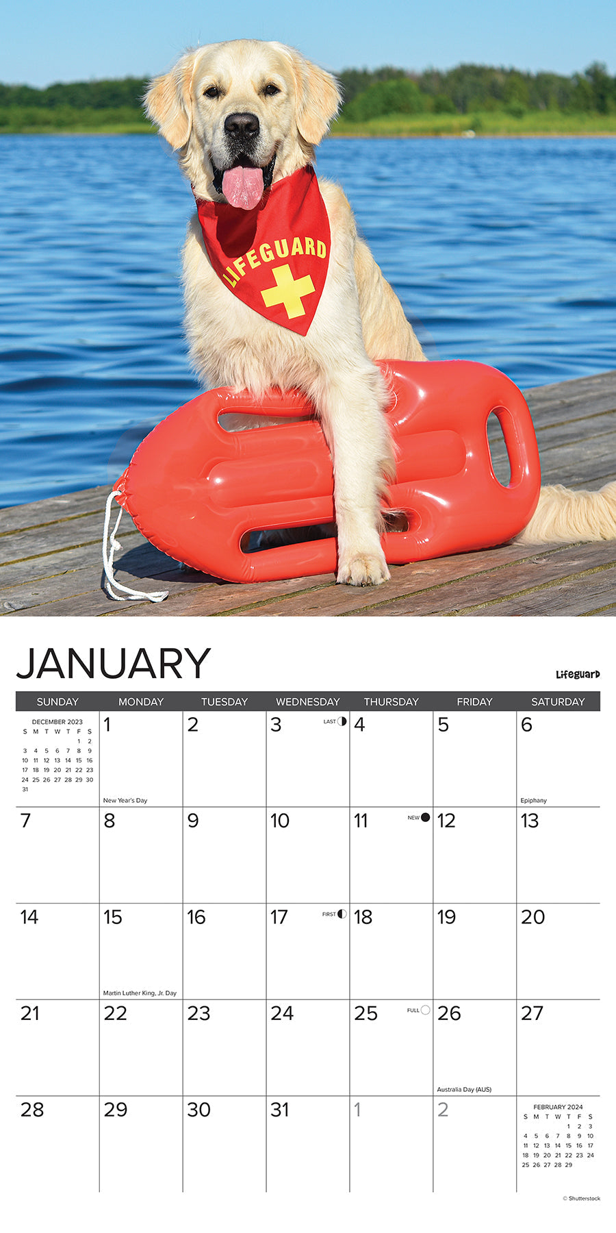 2024 12 Uses for a Golden - Square Wall Calendar US