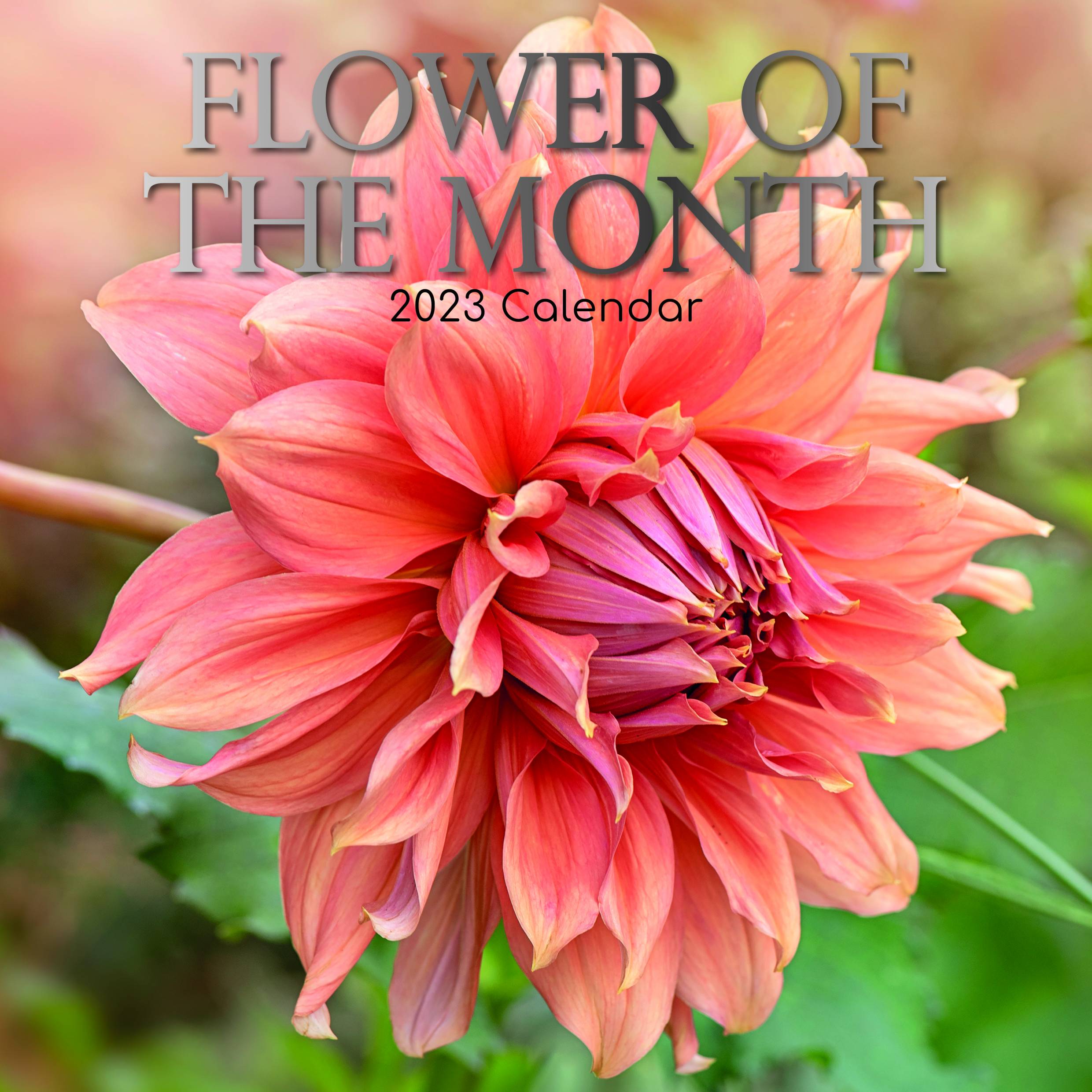 2023 Flower of the Month - Square Wall Calendar