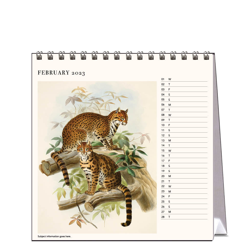 2023 Wild Cats - Desk Easel Calendar