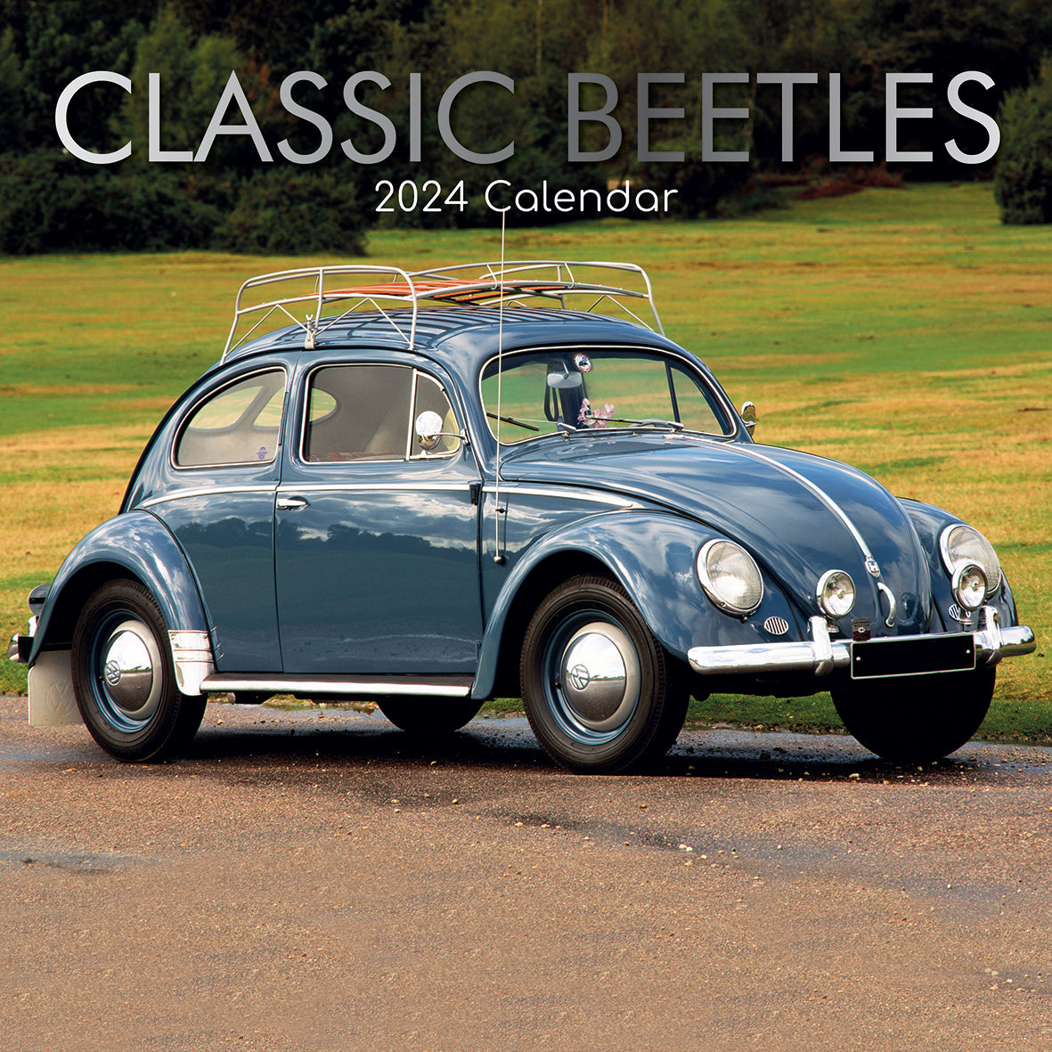 2024 Classic Beetles - Square Wall Calendar