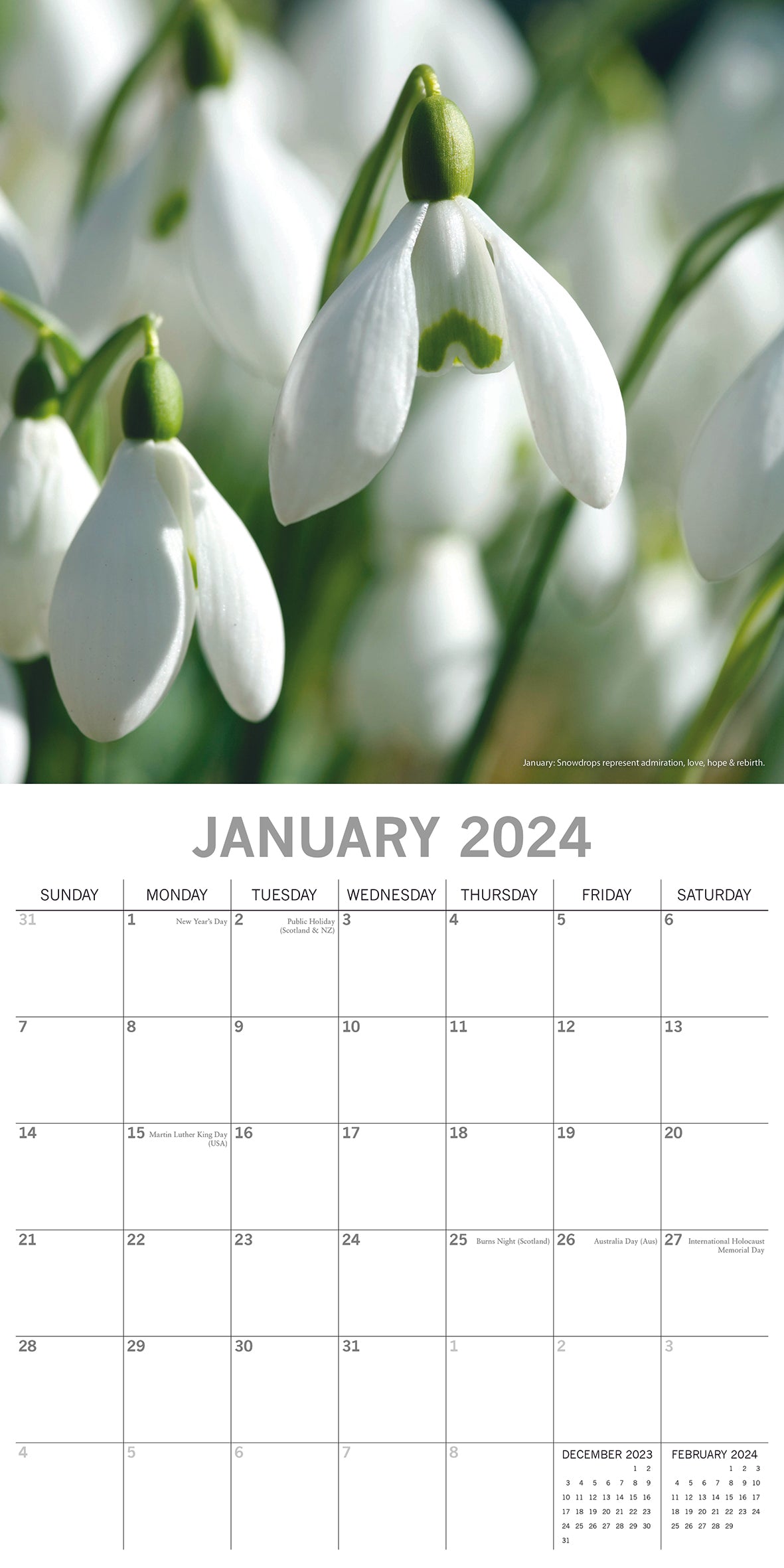 2024 Flower of the Month - Square Wall Calendar
