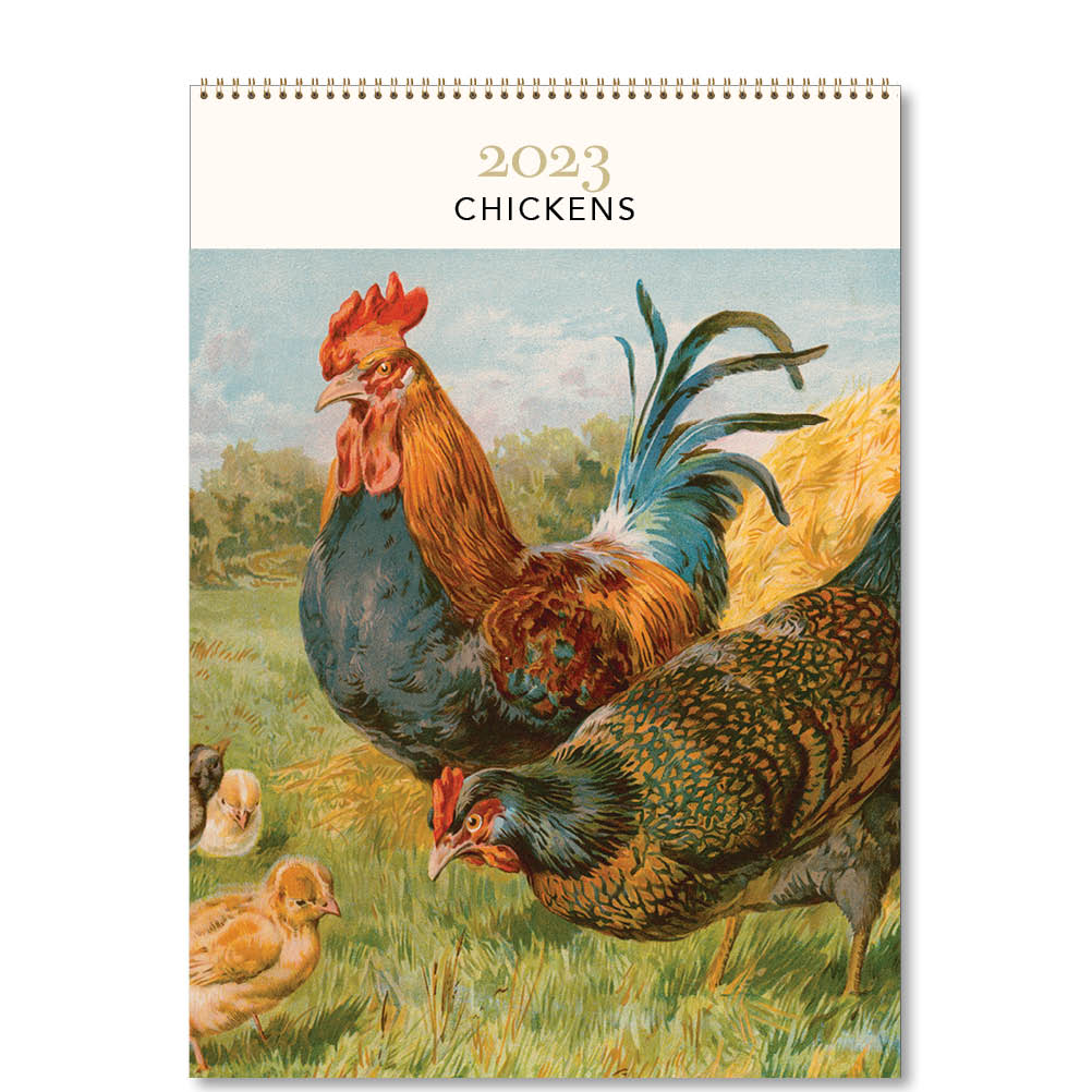 2023 Chickens - Deluxe Wall Calendar
