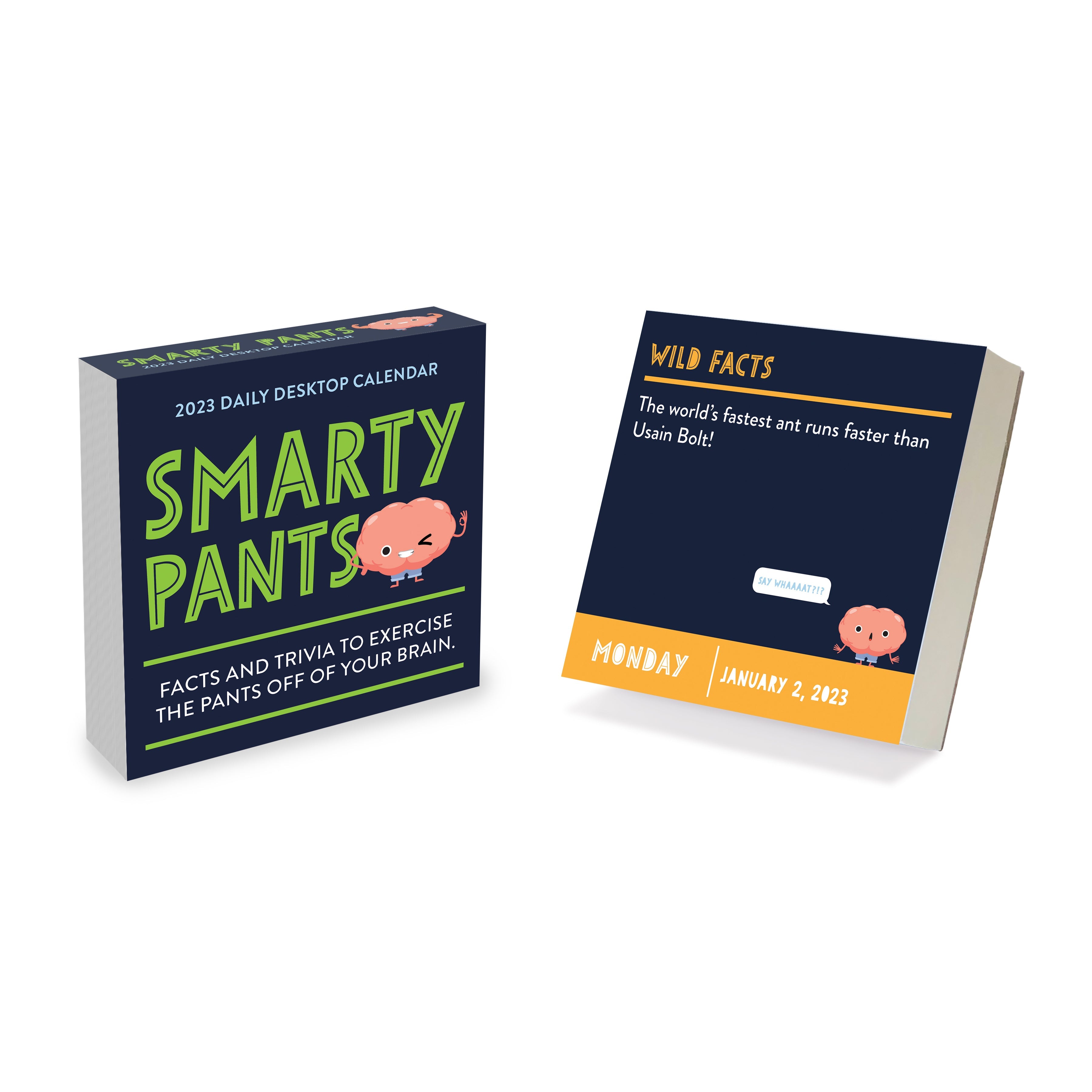 2023 Smarty Pants - Daily Boxed Page-A-Day  Calendar