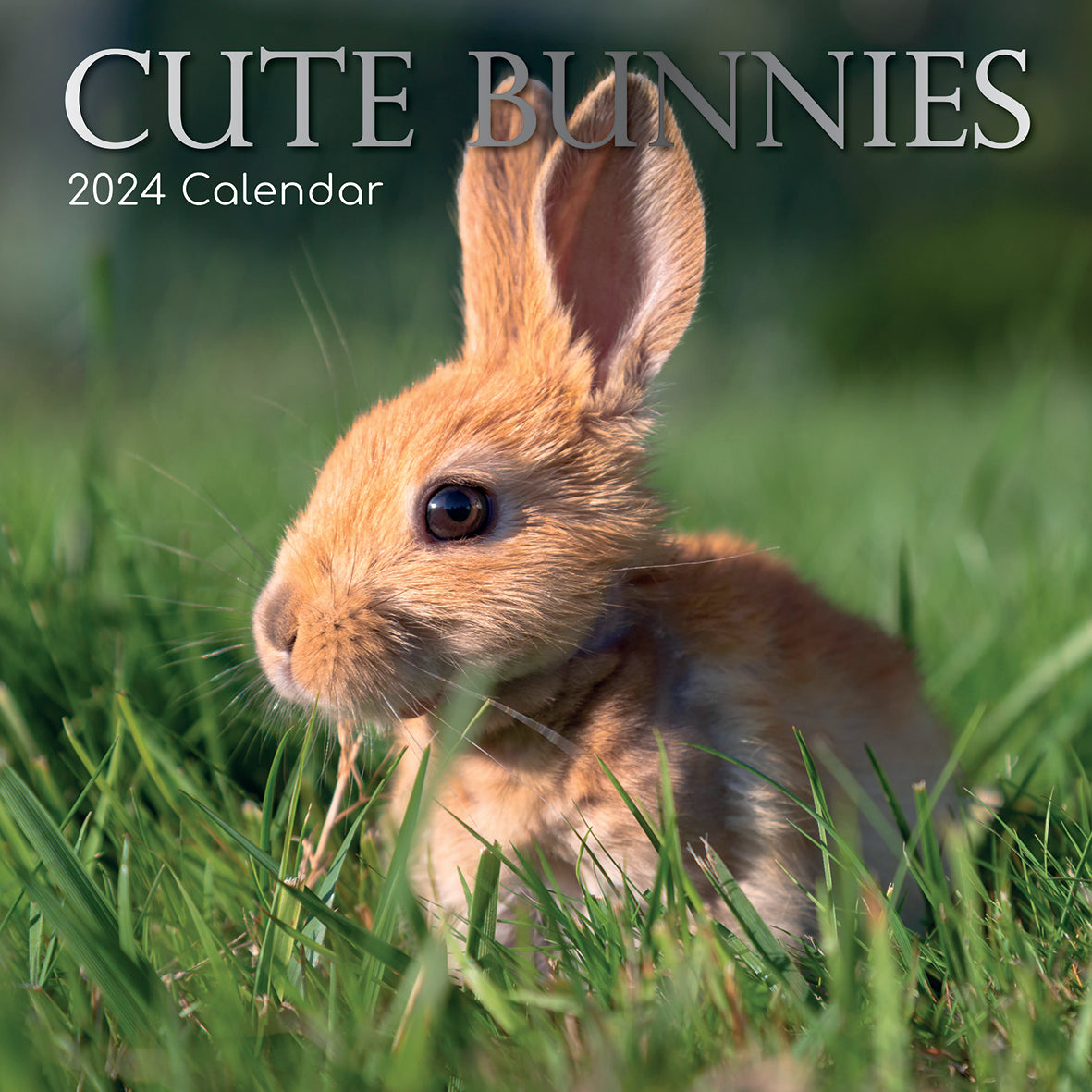2024 Cute Bunnies - Square Wall Calendar
