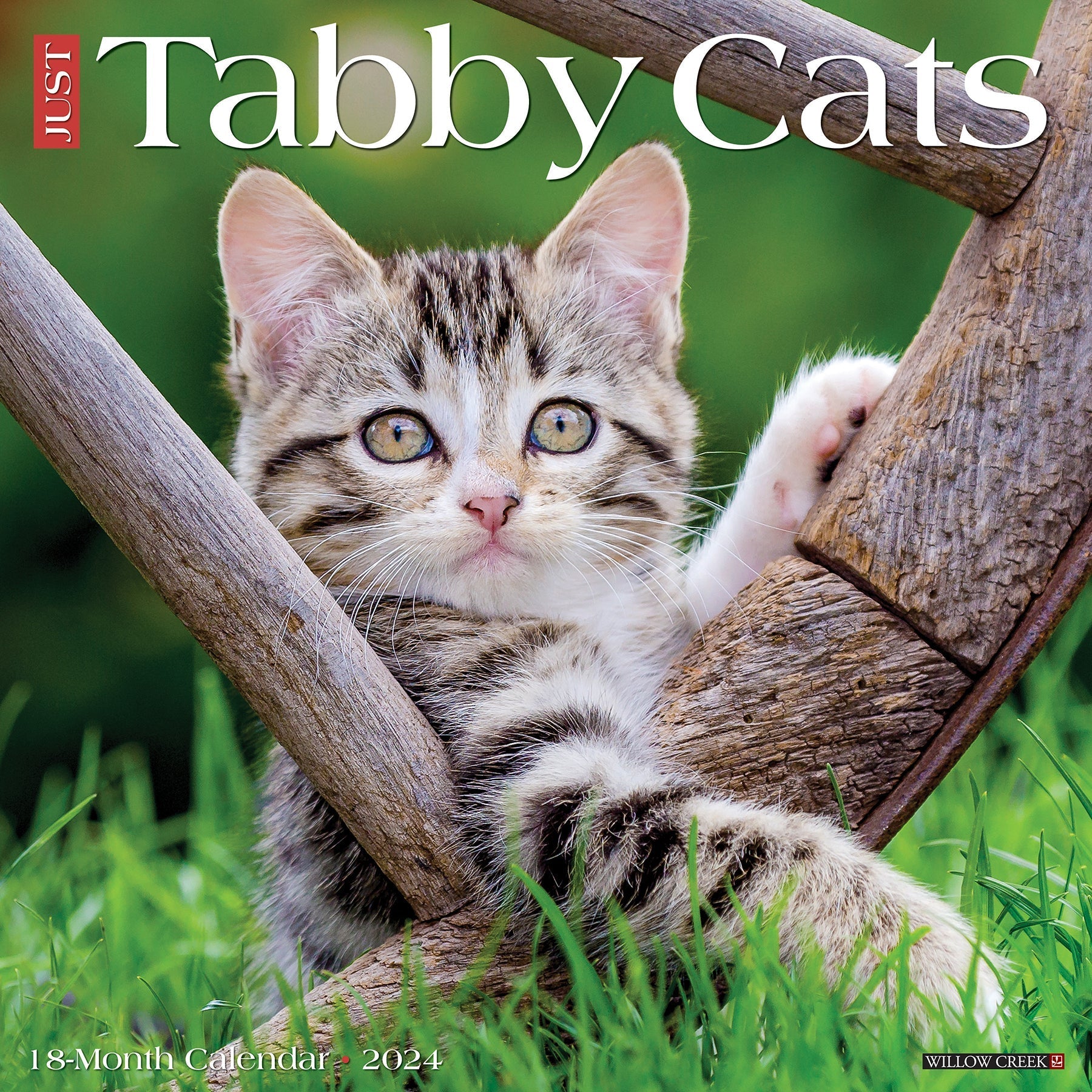 2024 Just Tabby Cats - Square Wall Calendar US