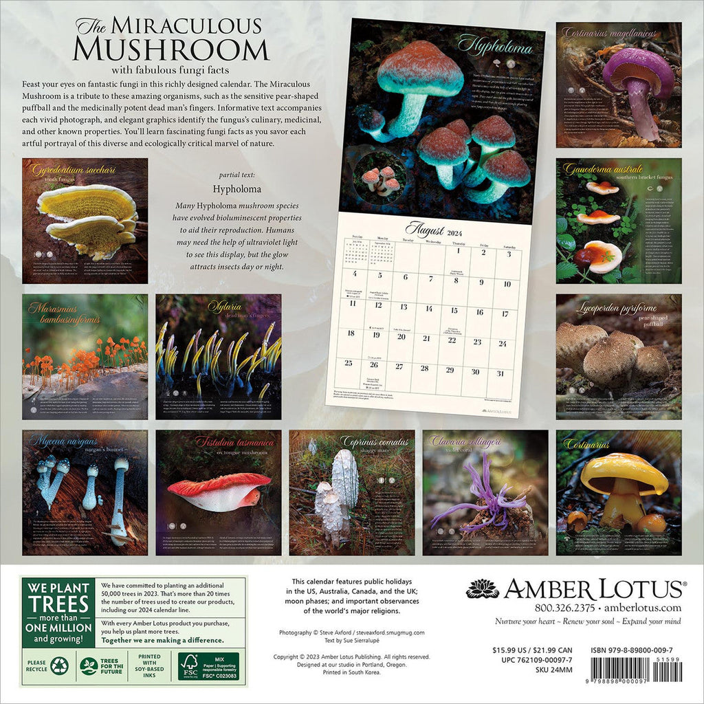 2024 Miraculous Mushroom Square Wall Calendar Sceneries & Flowers