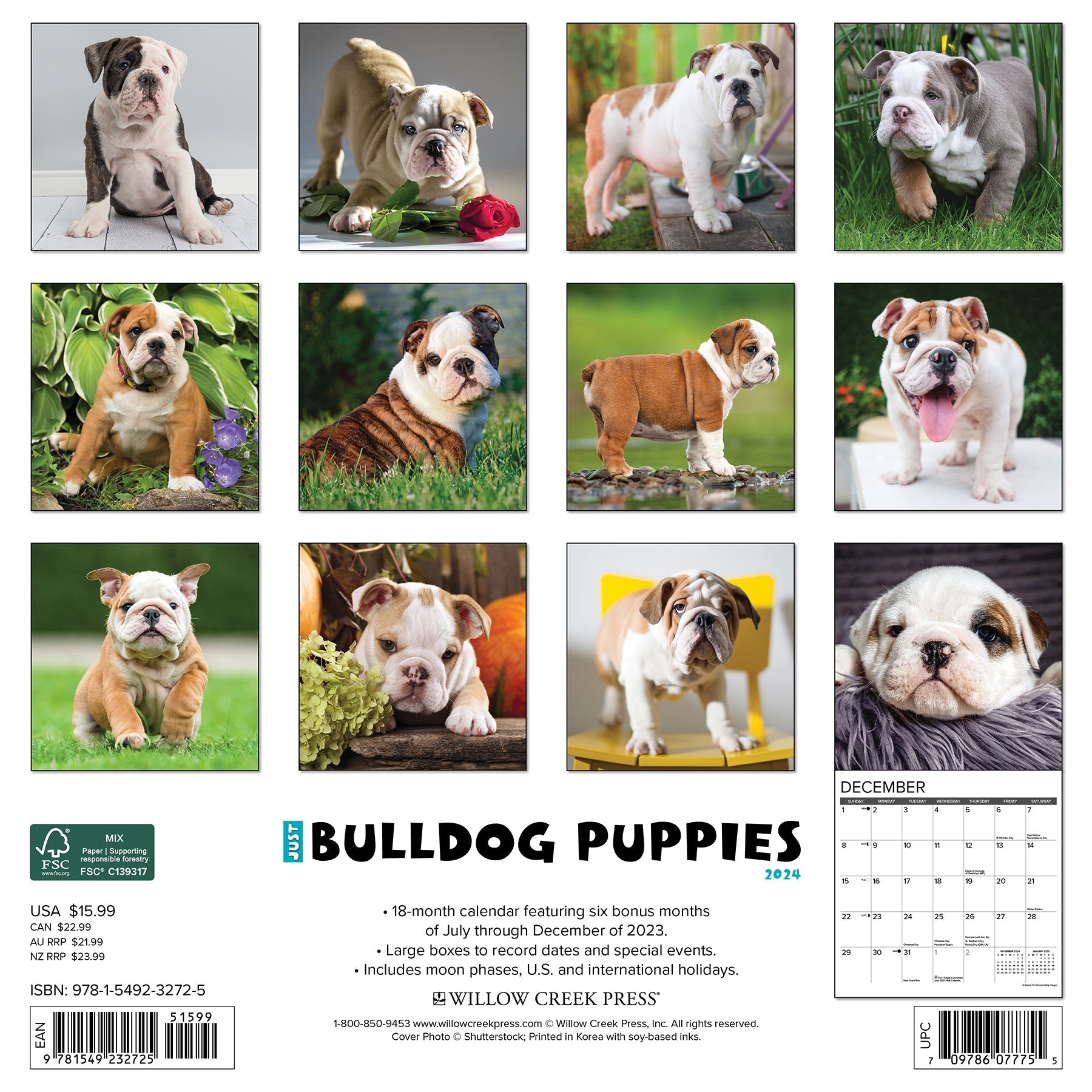 2024 Just Bulldog Puppies - Square Wall Calendar US