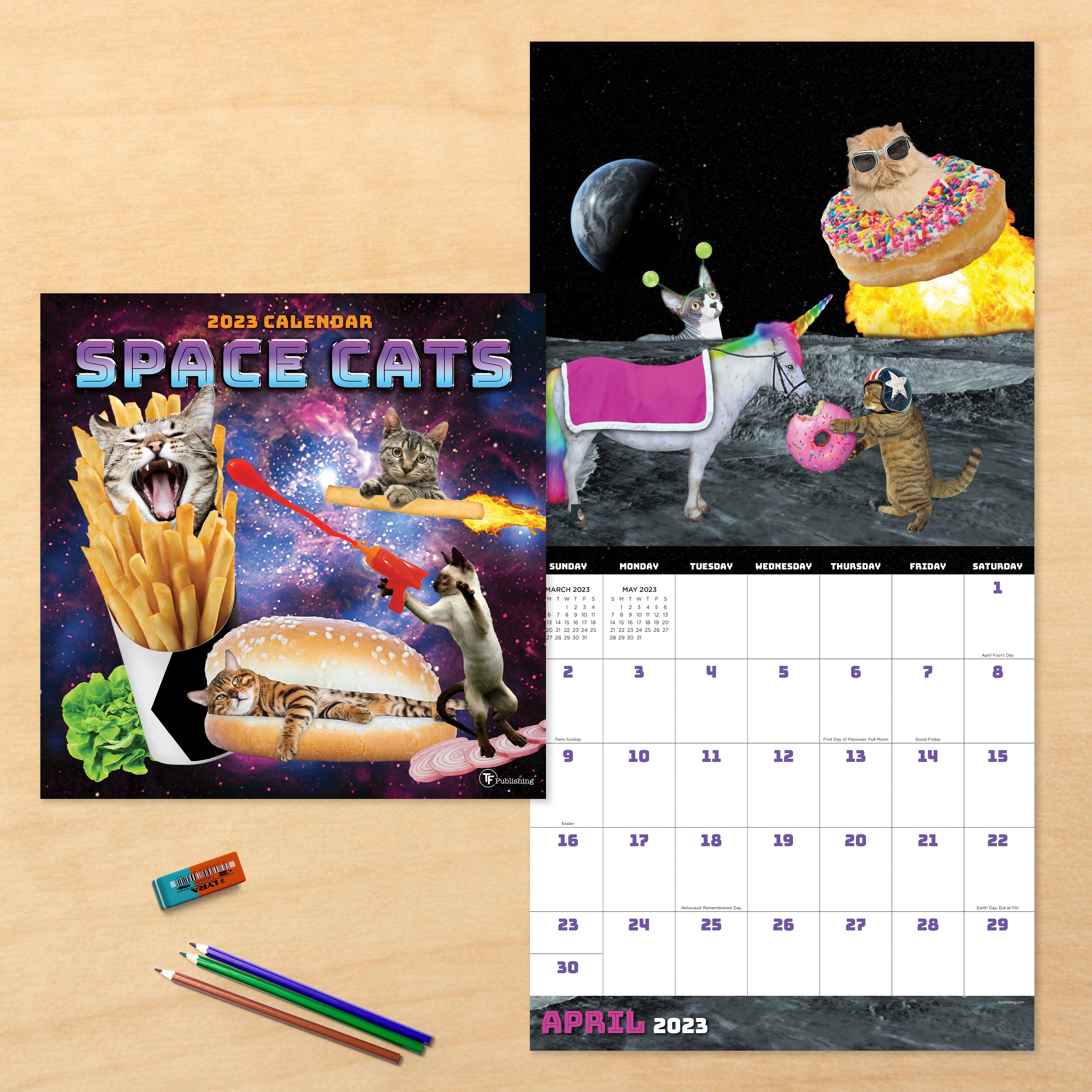 2023 Space Cats - Square Wall Calendar