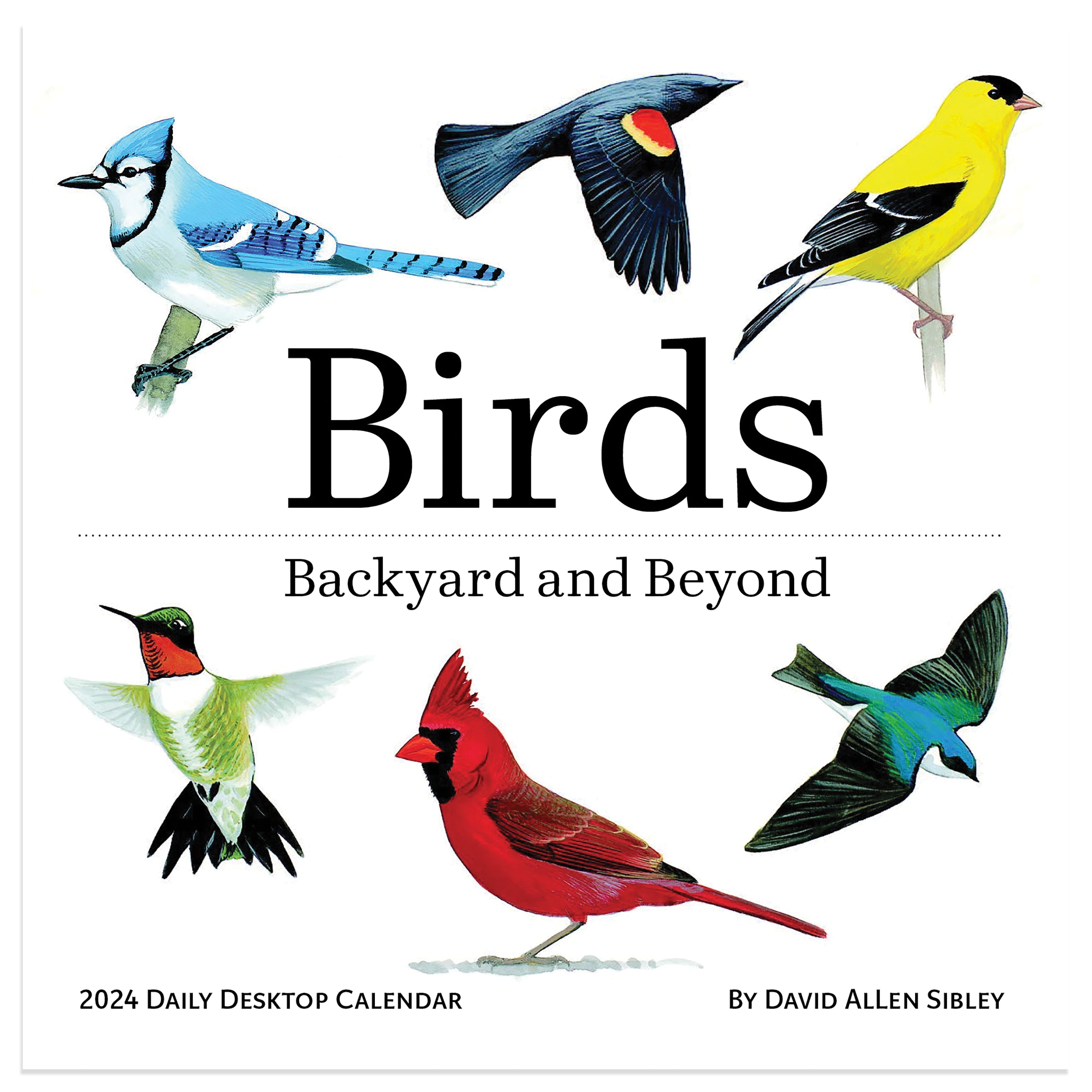 2024 Birds: Backyard & Beyond - Daily Boxed Page-A-Day Calendar US