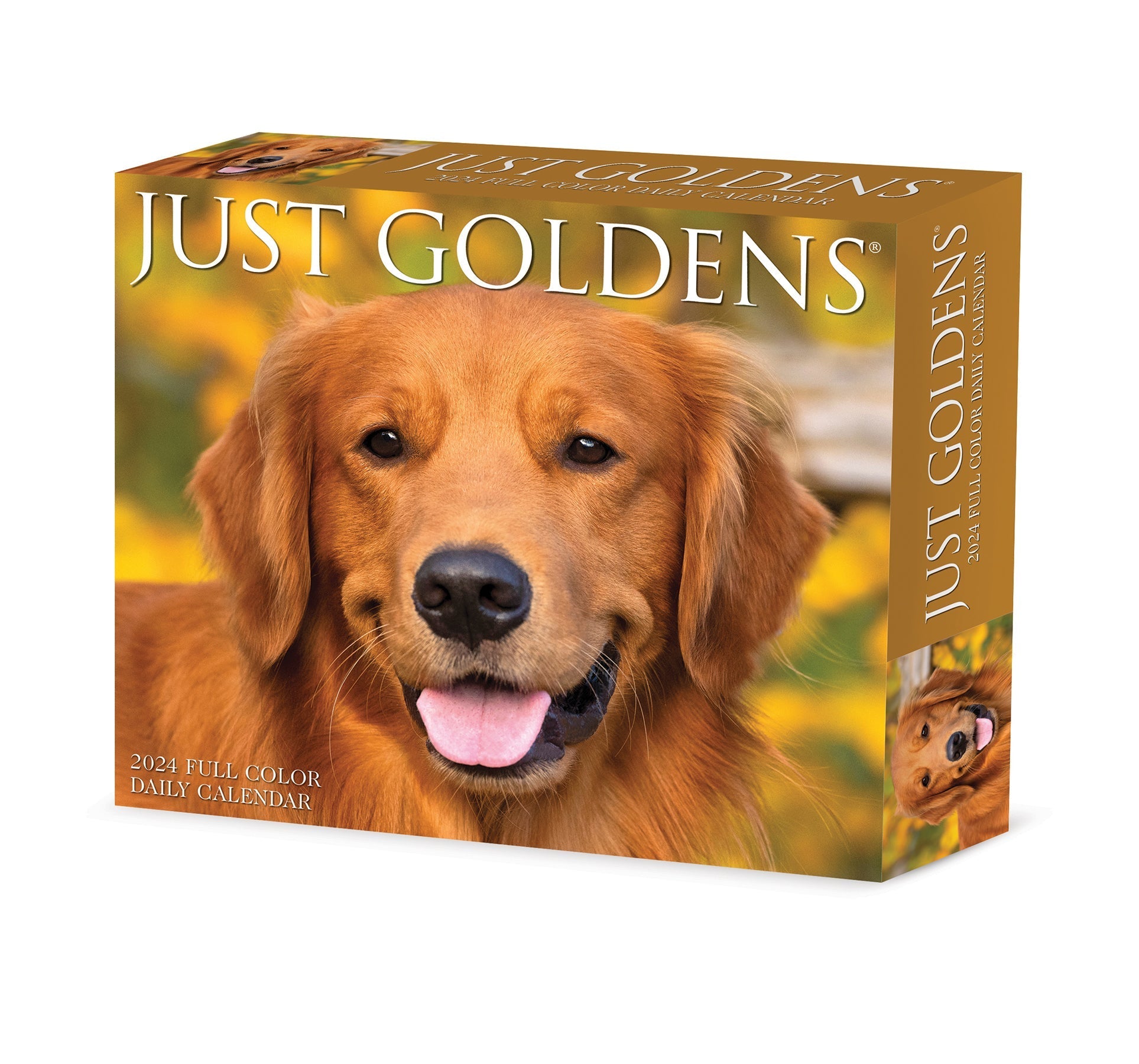 2024 Goldens - Daily Boxed Page-A-Day Calendar US