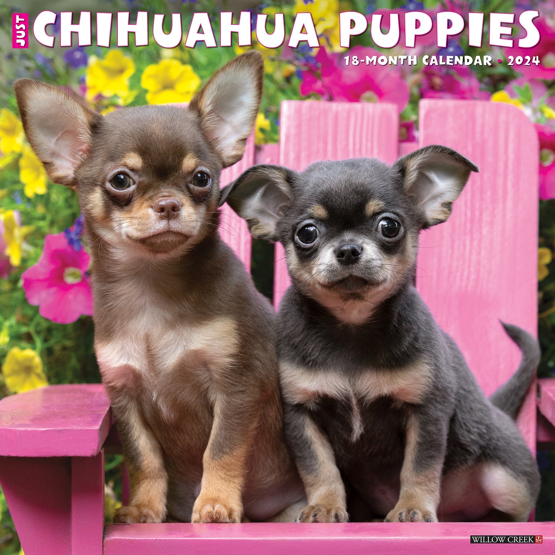 2024 Just Chihuahua Puppies - Square Wall Calendar US