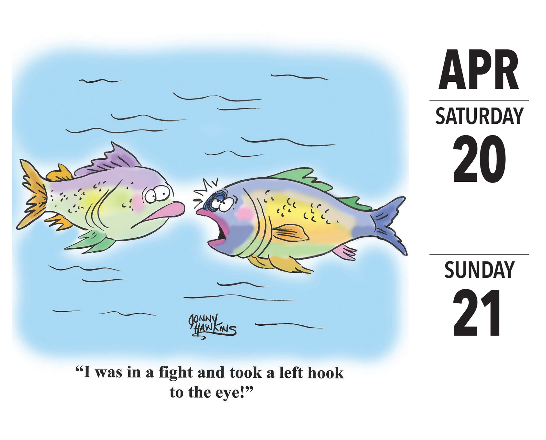 2024 Fishing Cartoon-A-Day by Jonny Hawkins - Daily Boxed Page-A-Day Calendar US