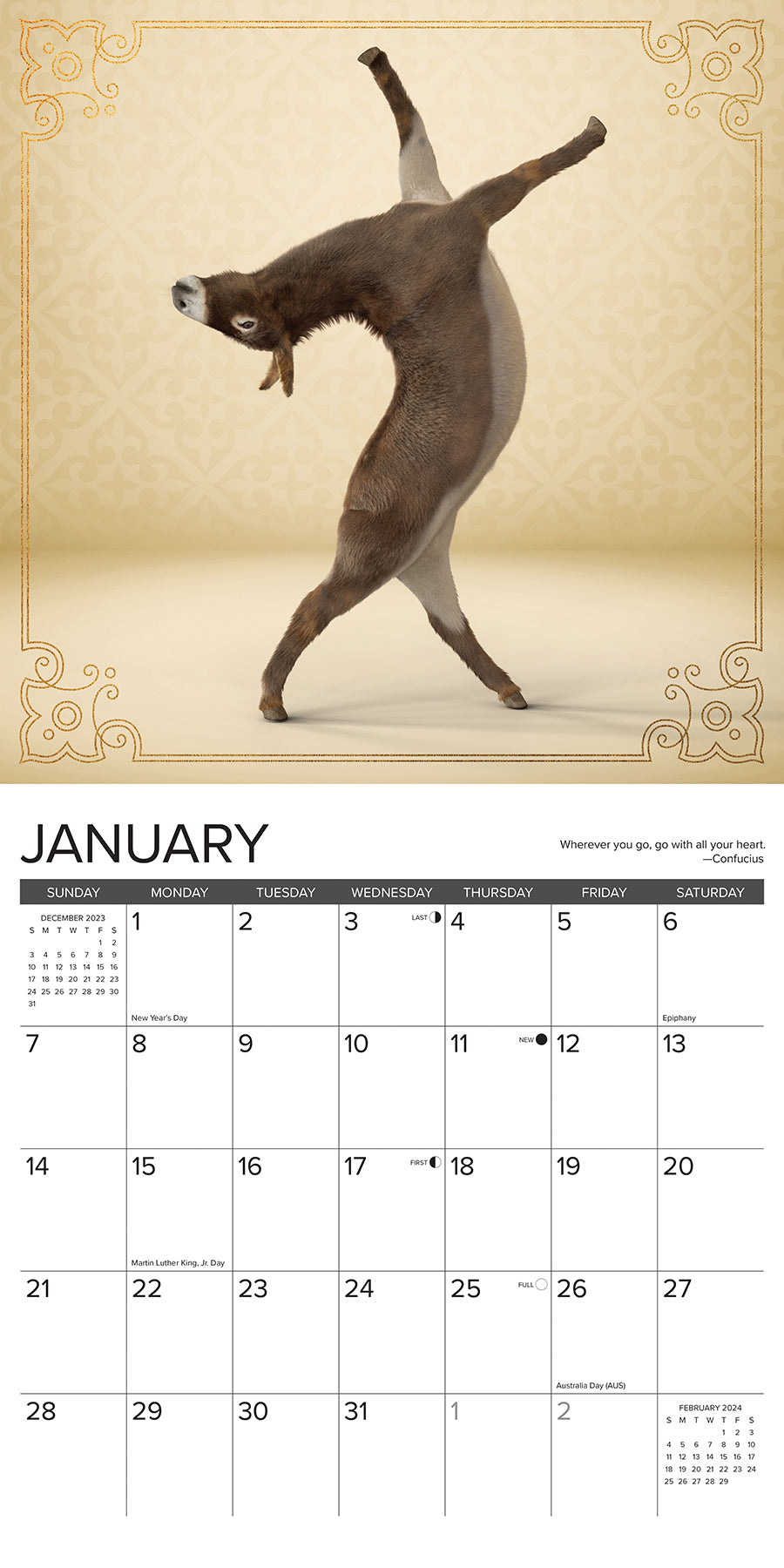 2024 Jackass Yoga - Square Wall Calendar US