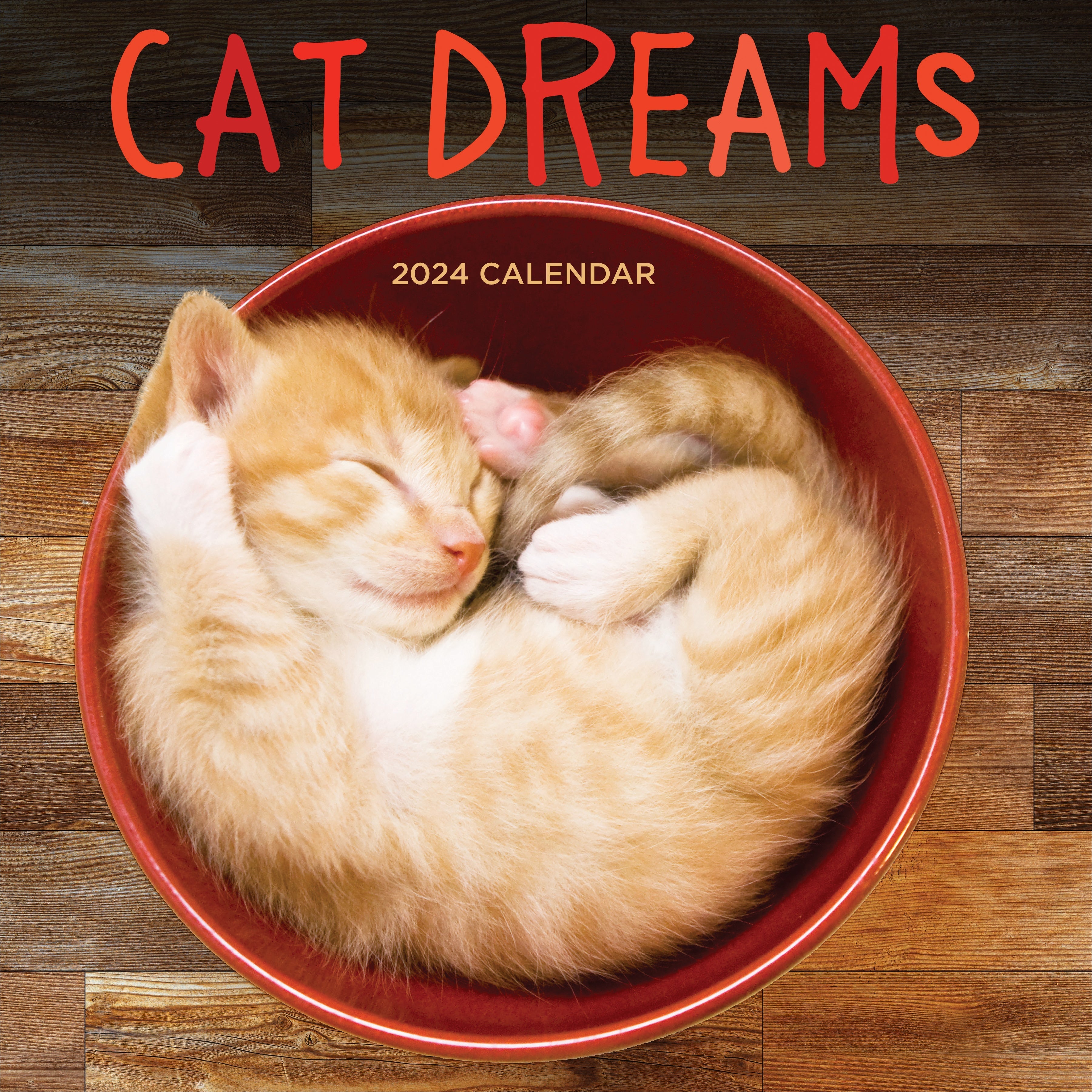 2024 Cat Dreams - Square Wall Calendar US