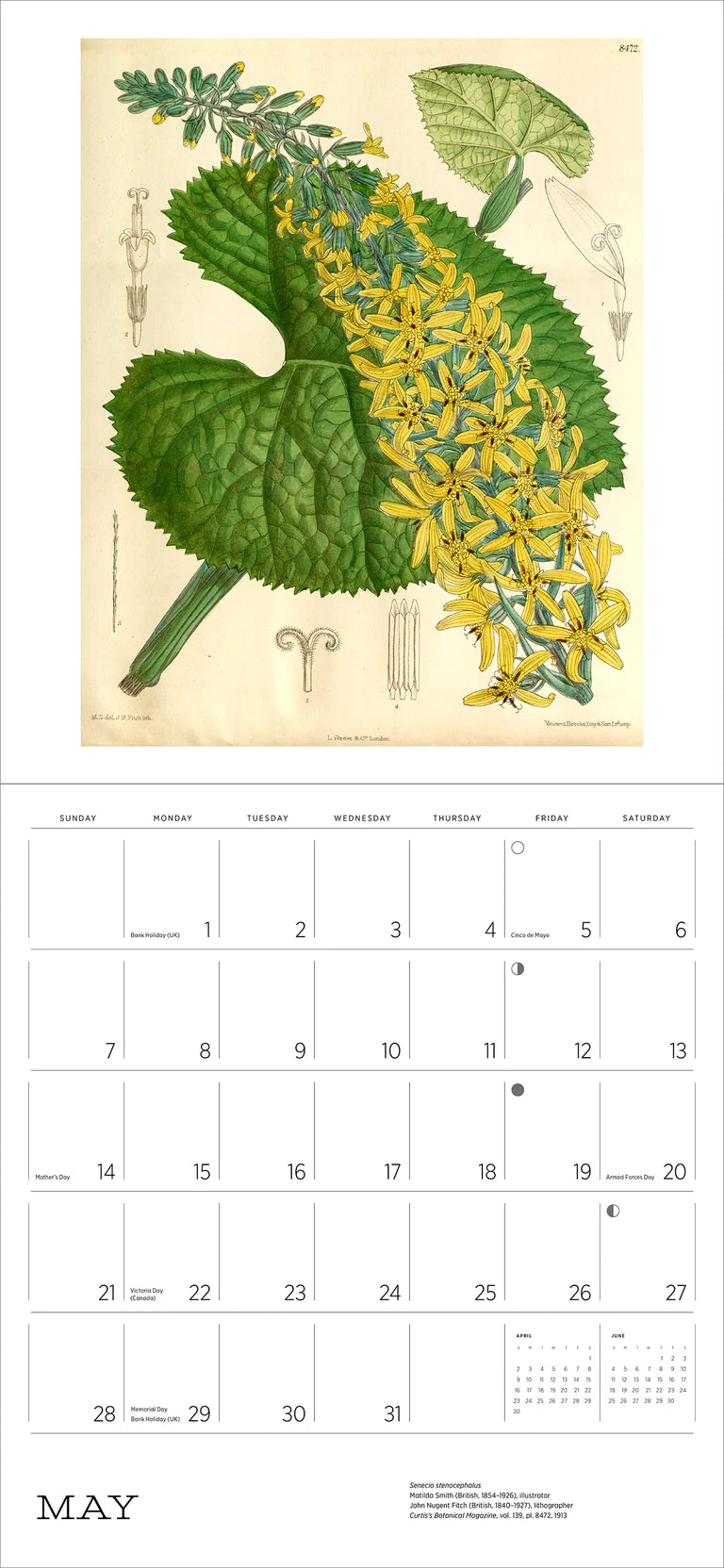 2023 The Illustrated Garden - Square Wall Calendar